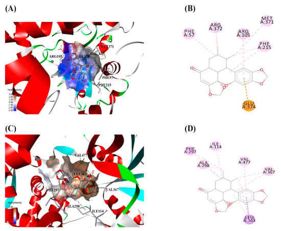 Molecules 23 00555 g004a Molecules 23 00555 g004a