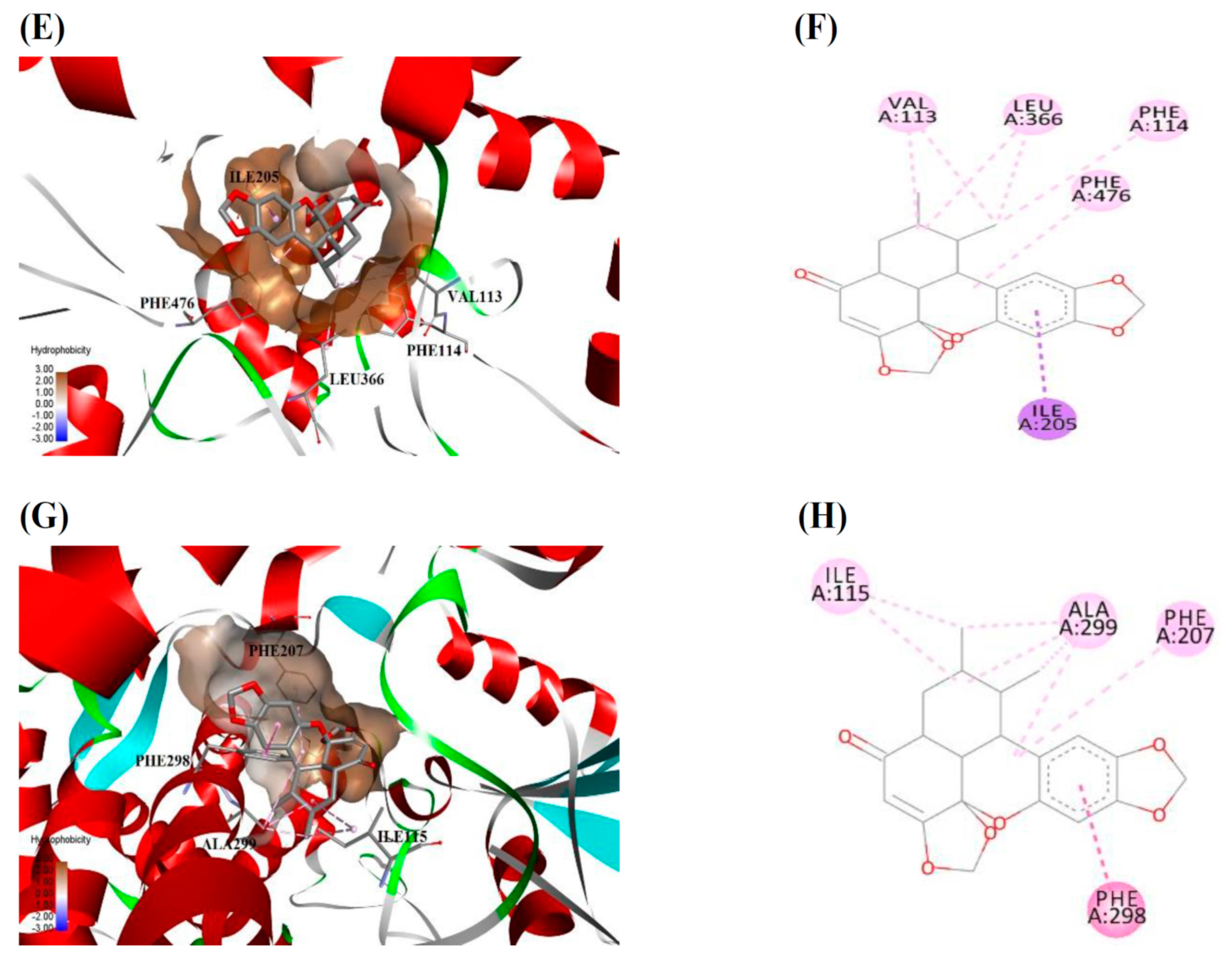 Molecules 23 00555 g004b Molecules 23 00555 g004b