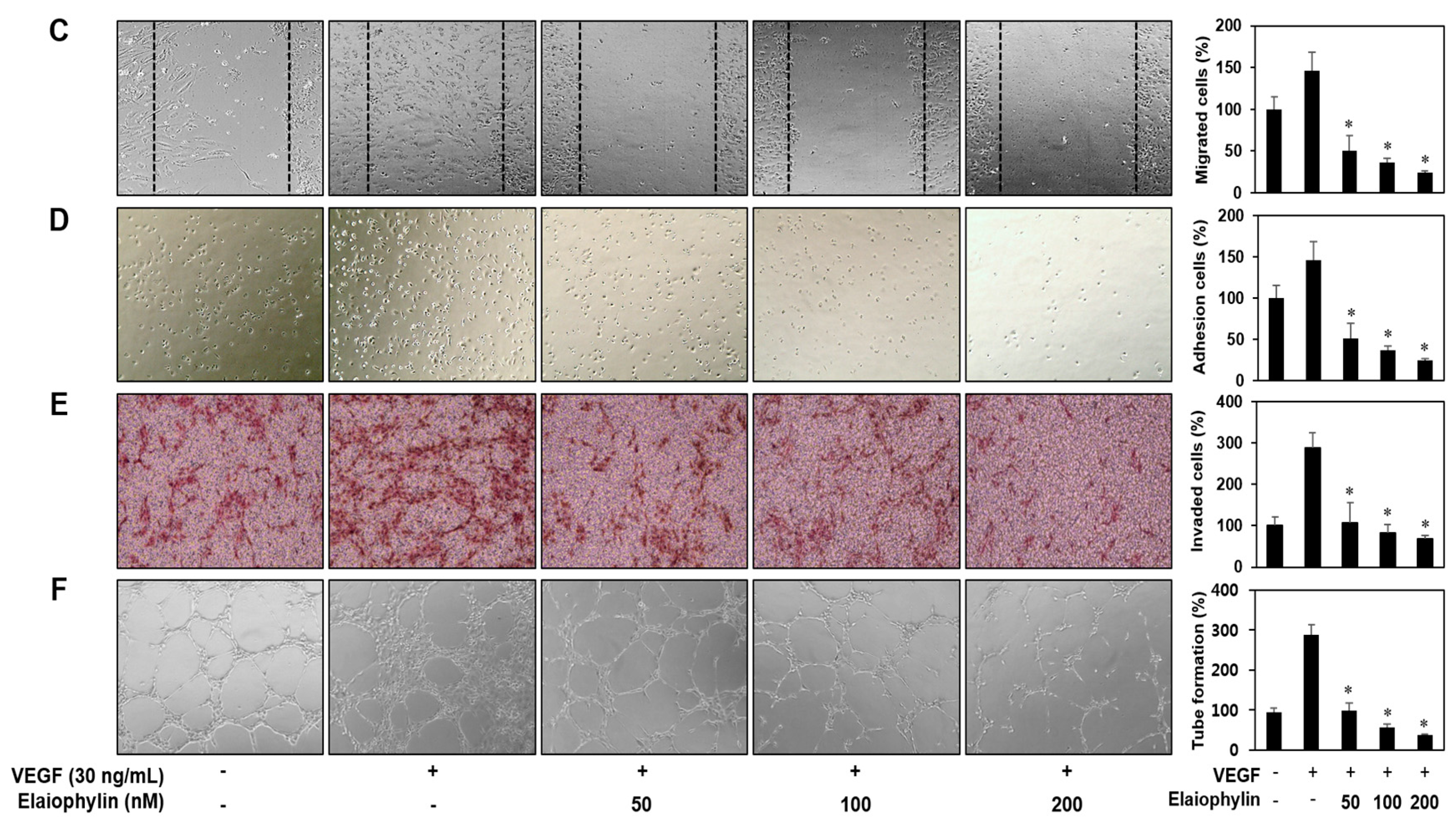 Molecules 23 00563 g002b Molecules 23 00563 g002b