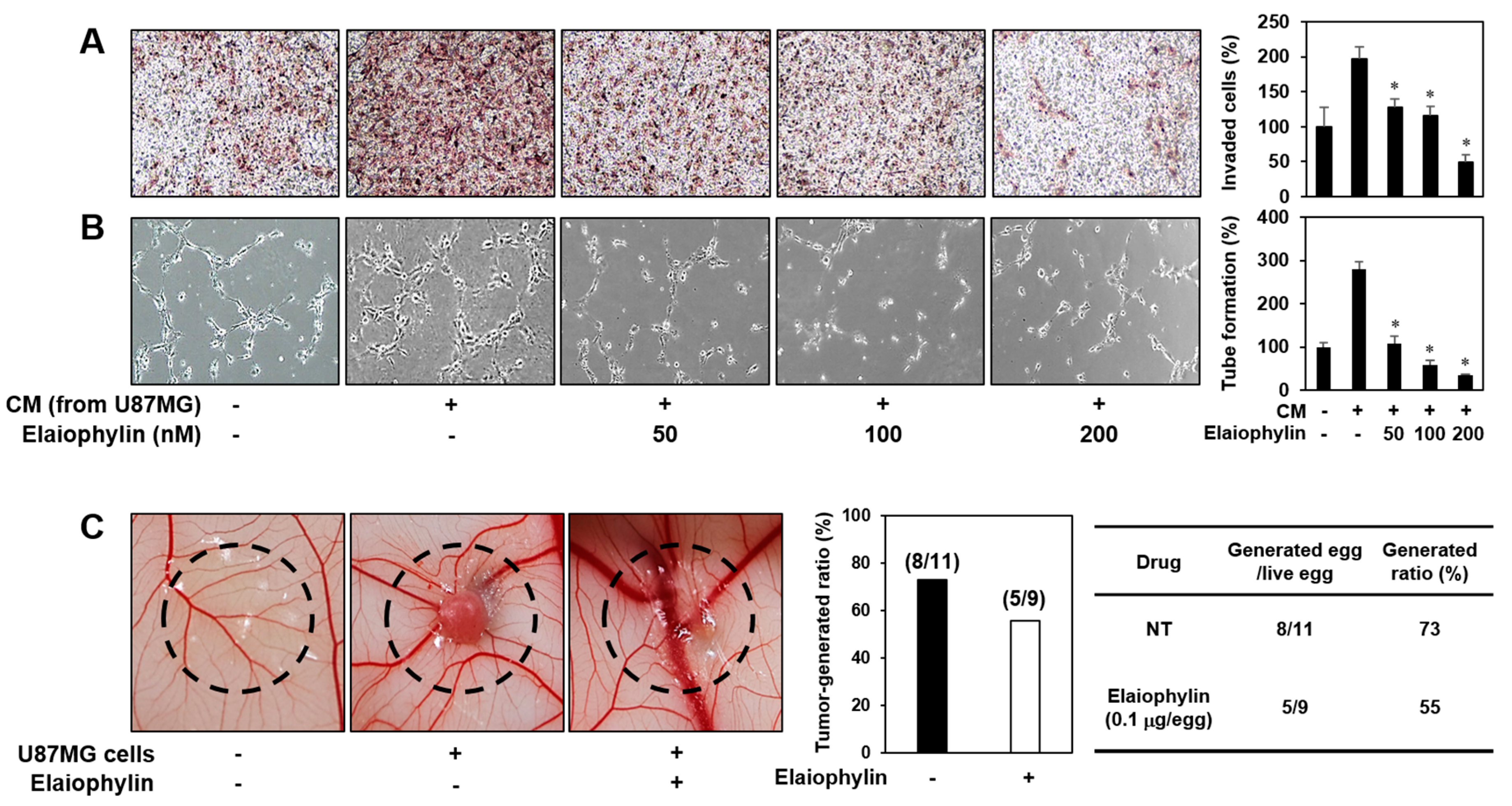 Molecules 23 00563 g005 Molecules 23 00563 g005