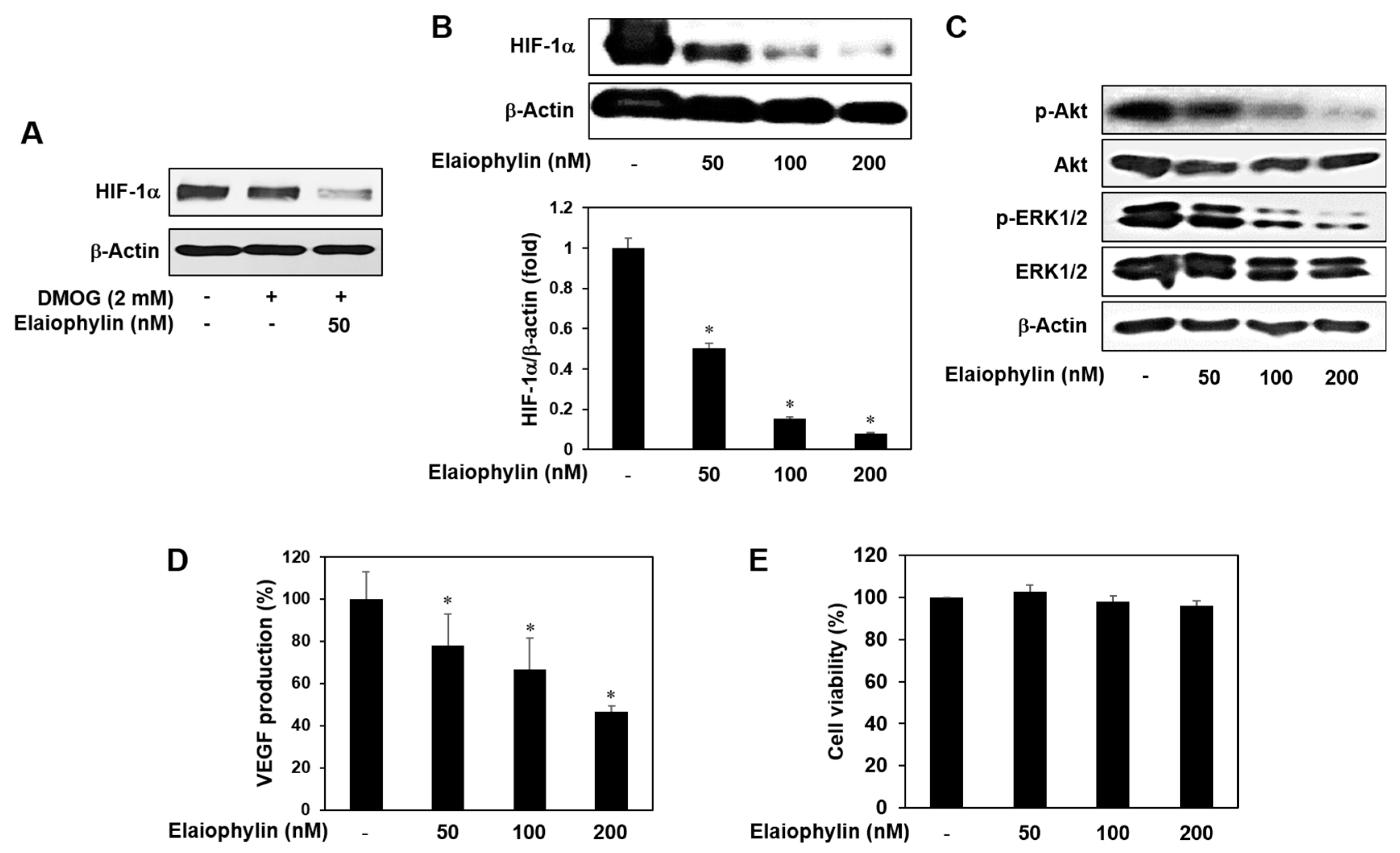 Molecules 23 00563 g006 Molecules 23 00563 g006
