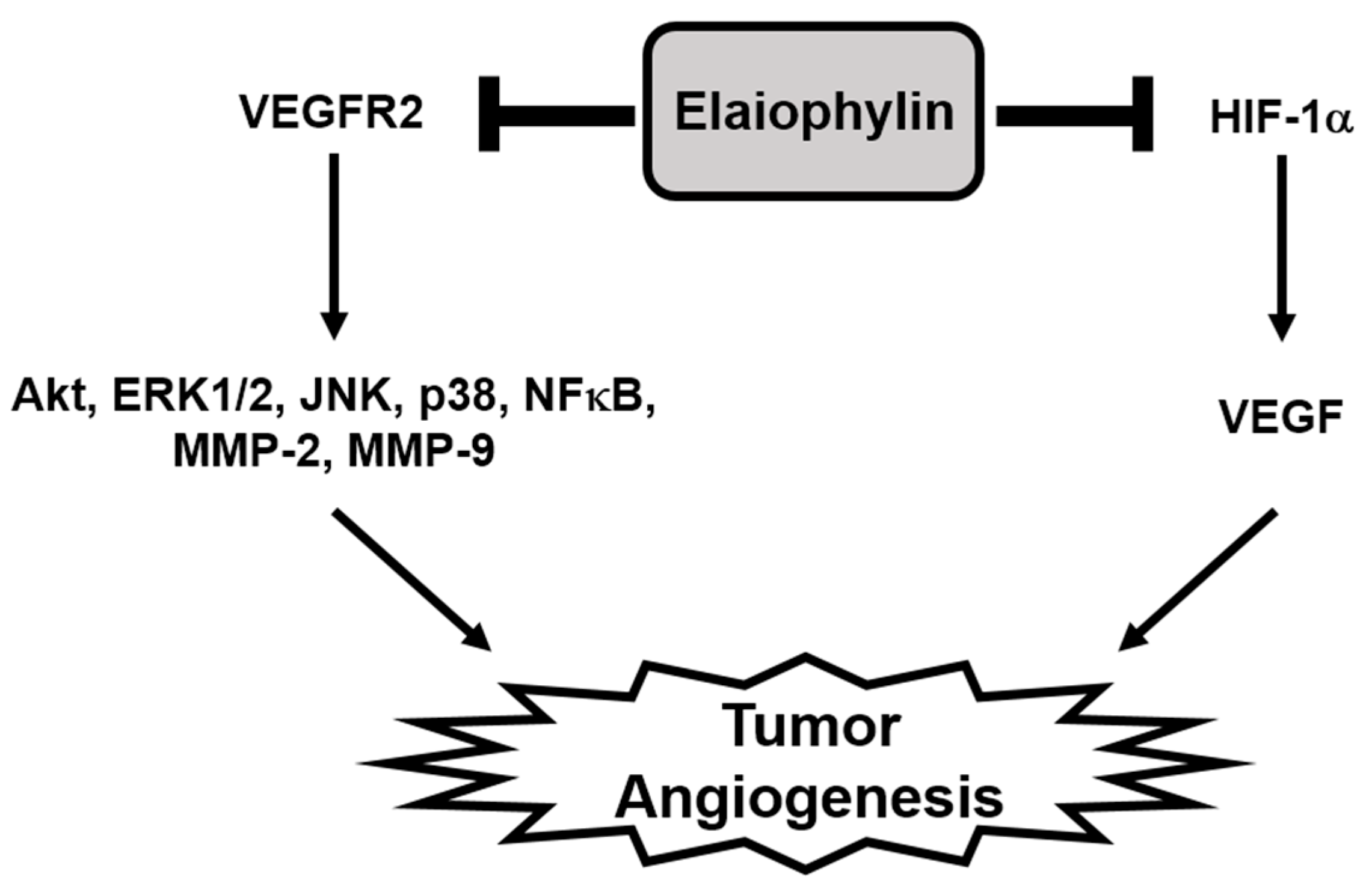 Molecules 23 00563 g007 Molecules 23 00563 g007