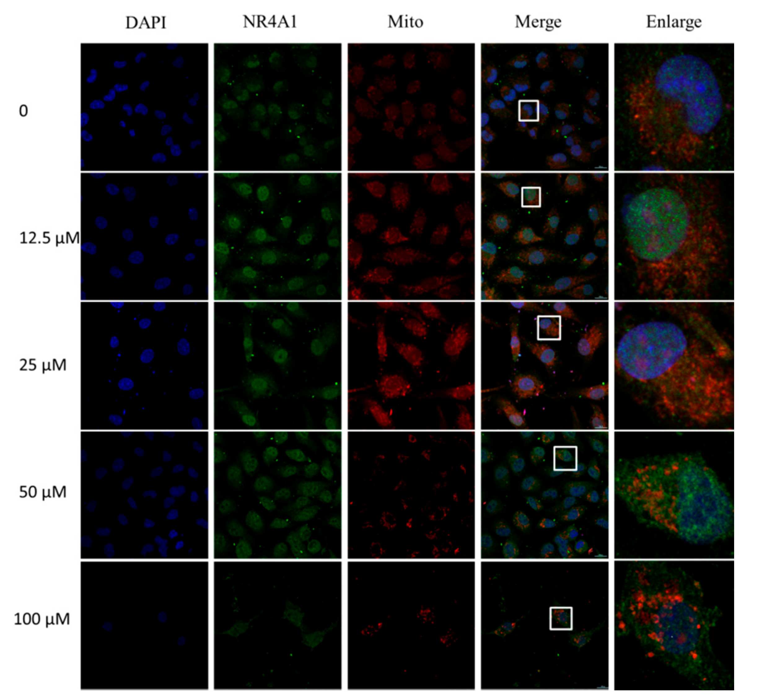 Molecules 23 00565 g004