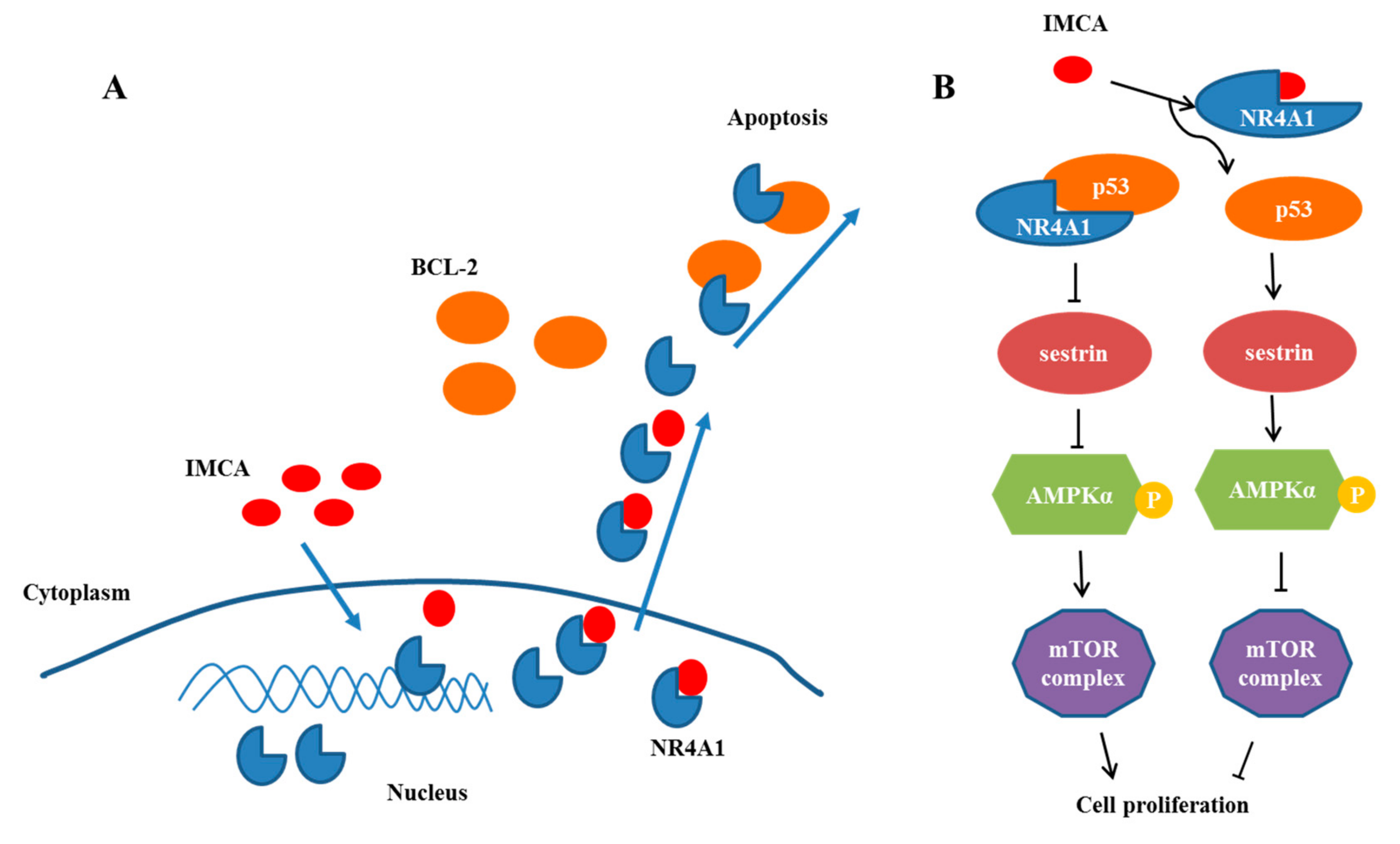 Molecules 23 00565 g006