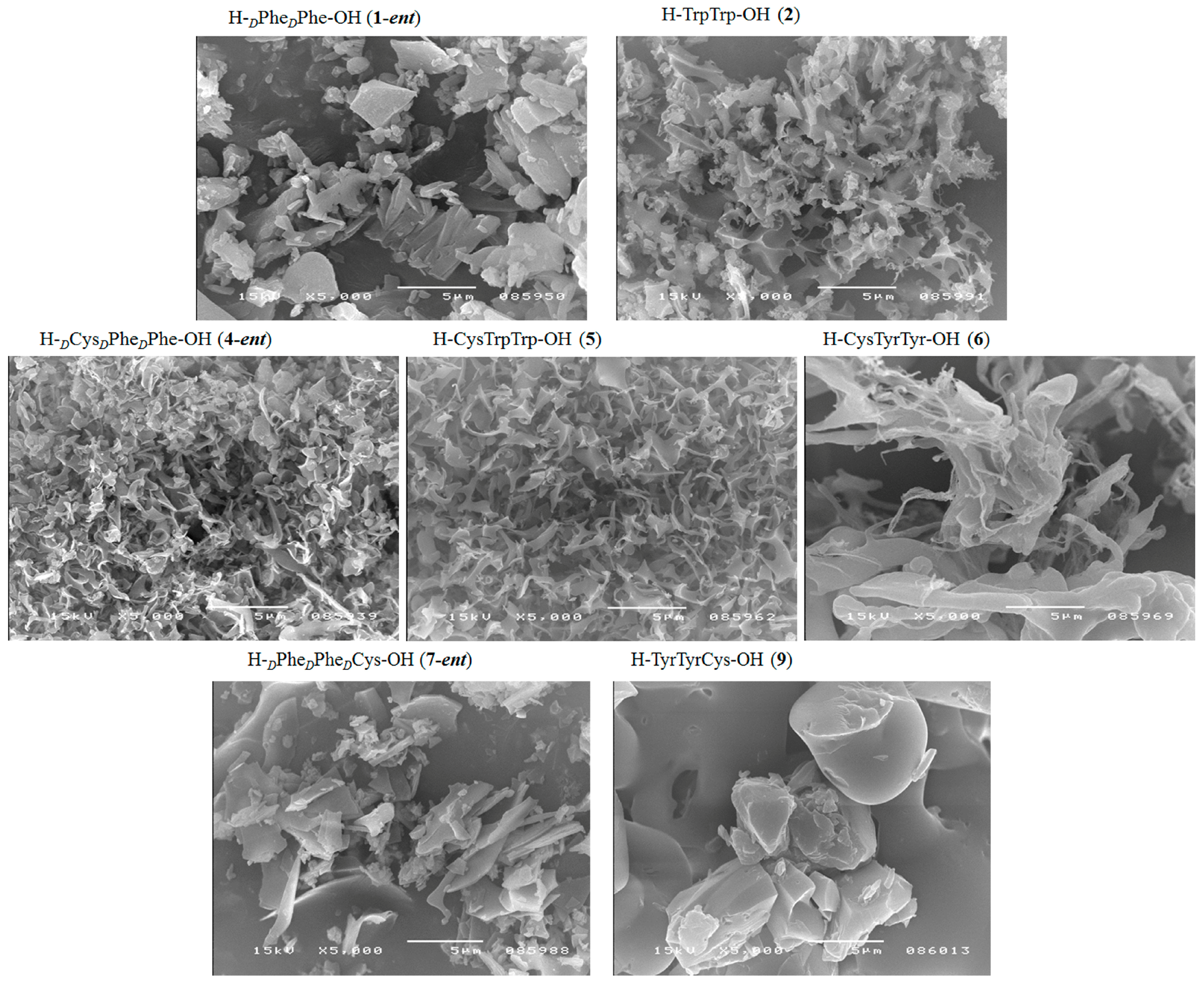 Molecules 23 00568 g007a Molecules 23 00568 g007a