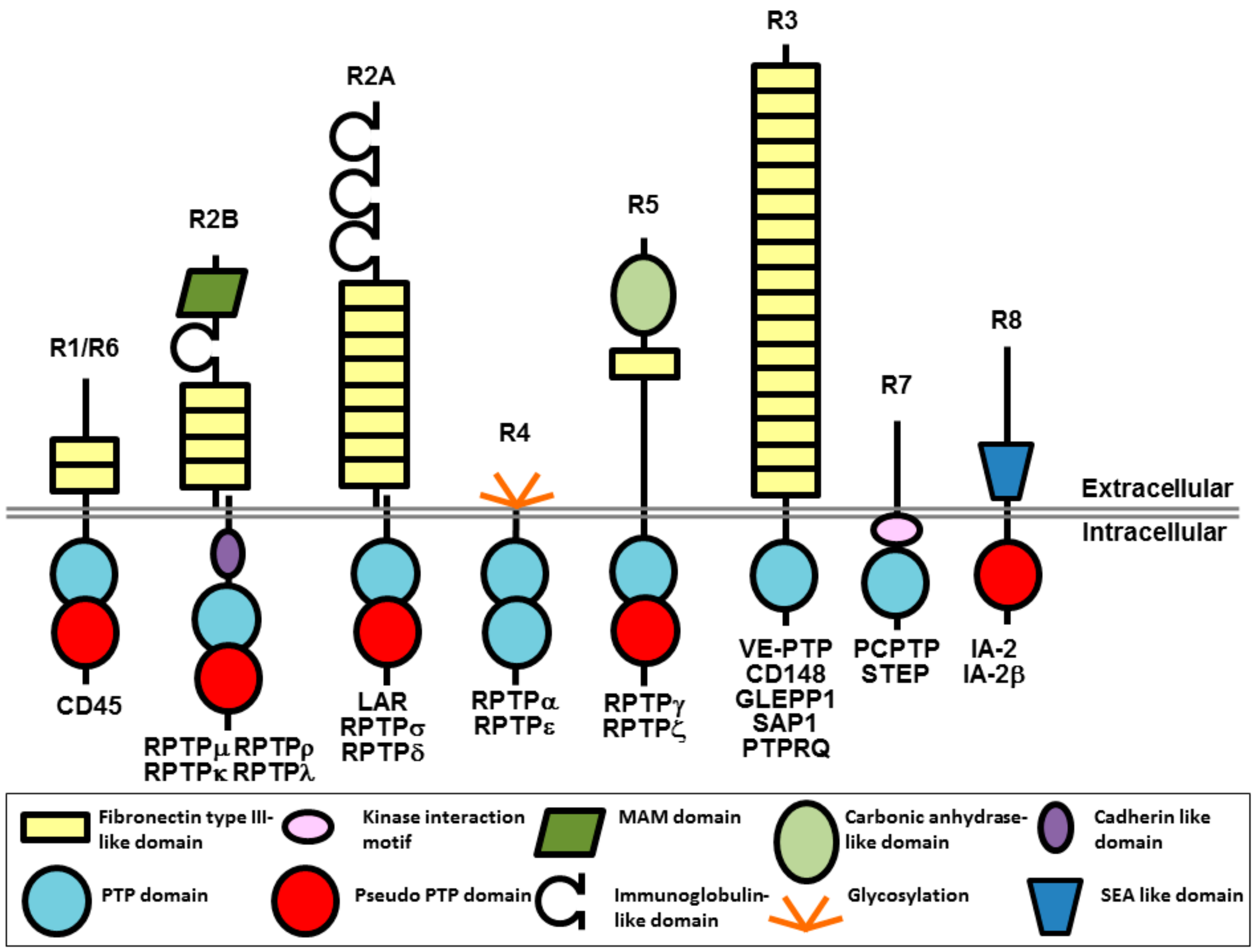 Molecules 23 00569 g001
