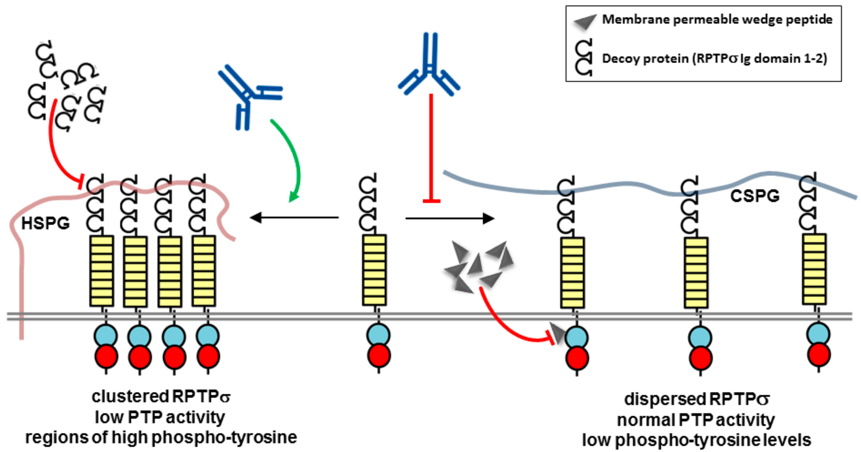 Molecules 23 00569 g004