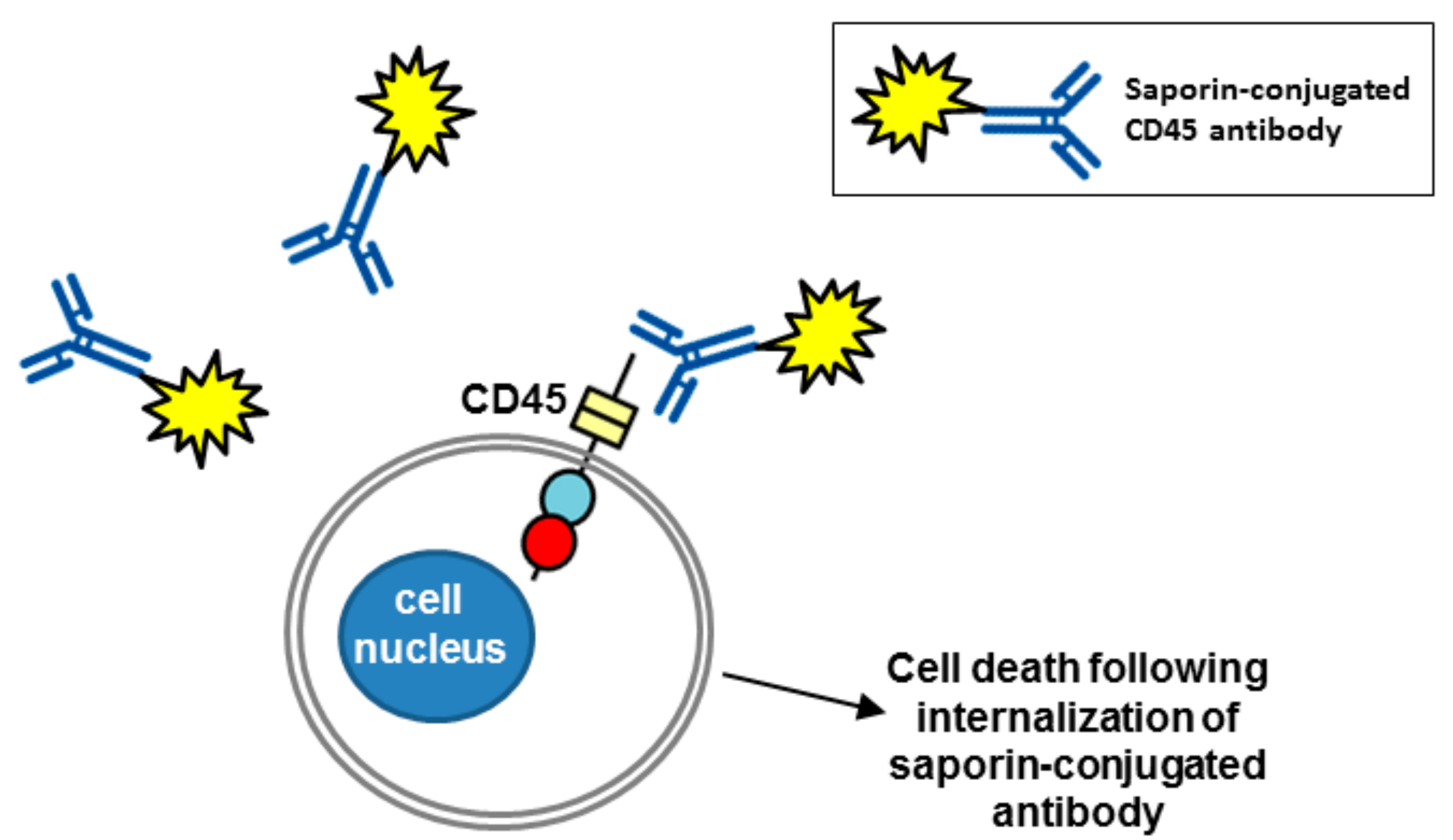 Molecules 23 00569 g005
