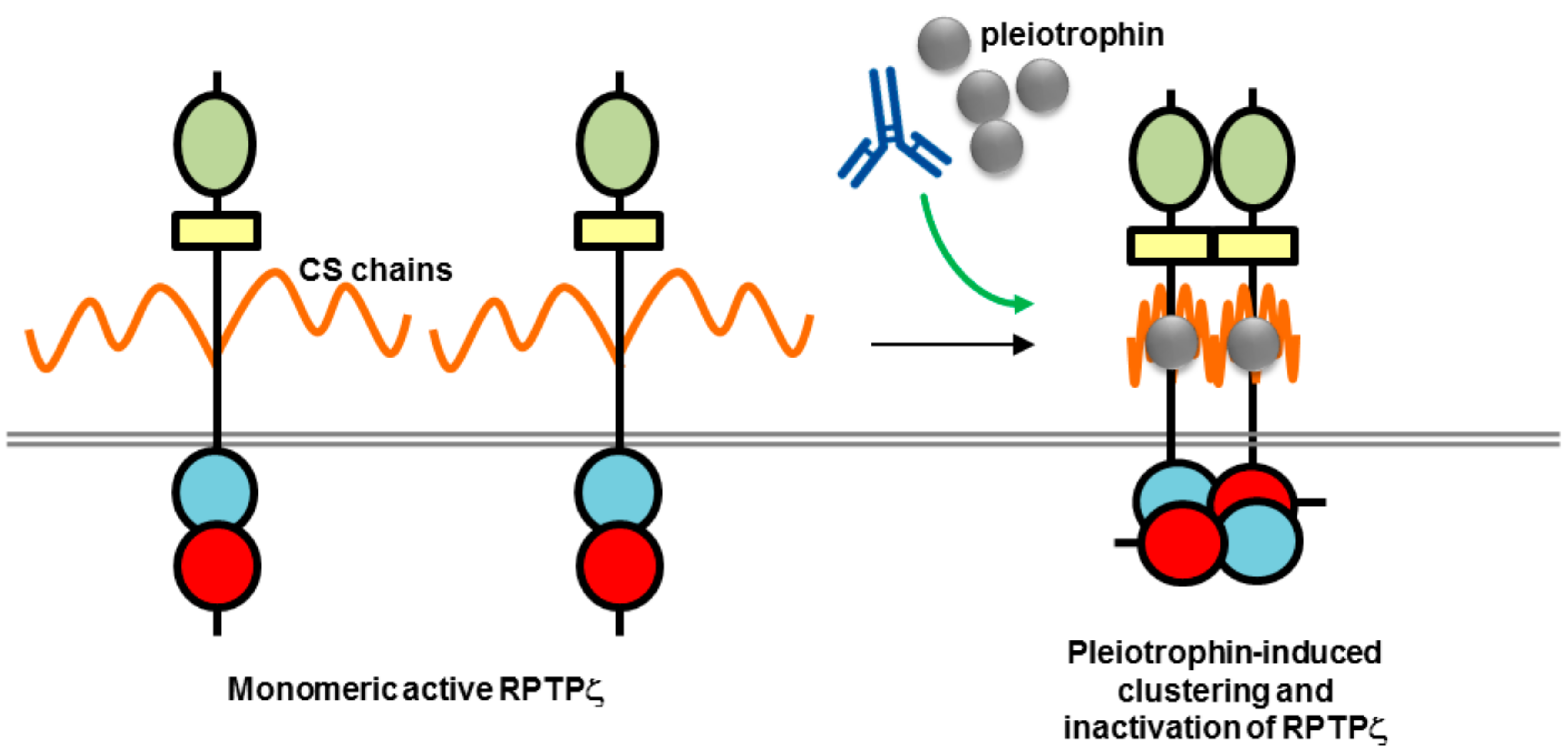Molecules 23 00569 g006