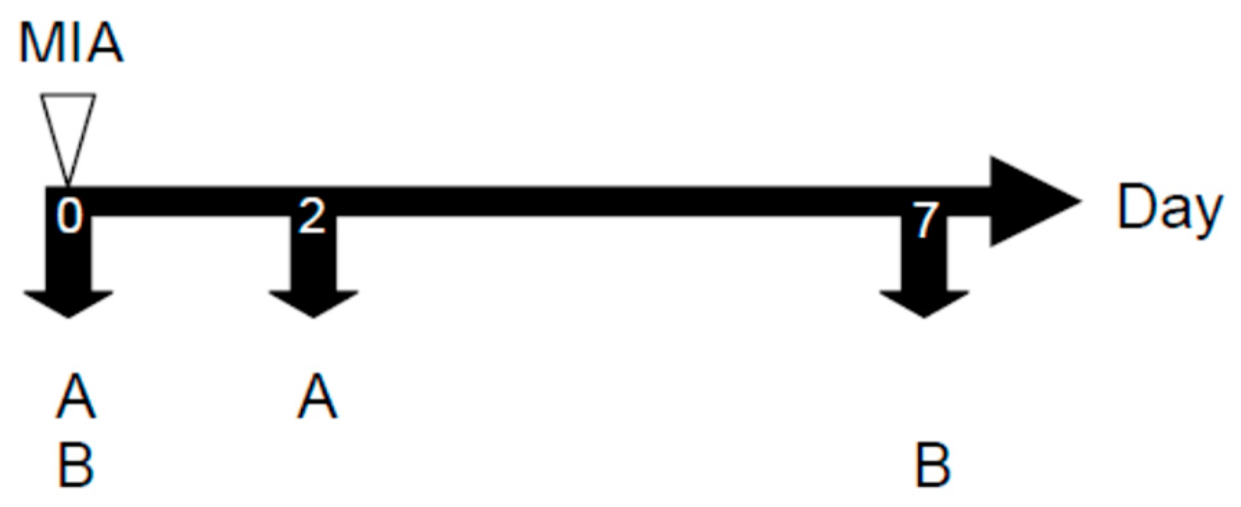 Molecules 23 00571 g008