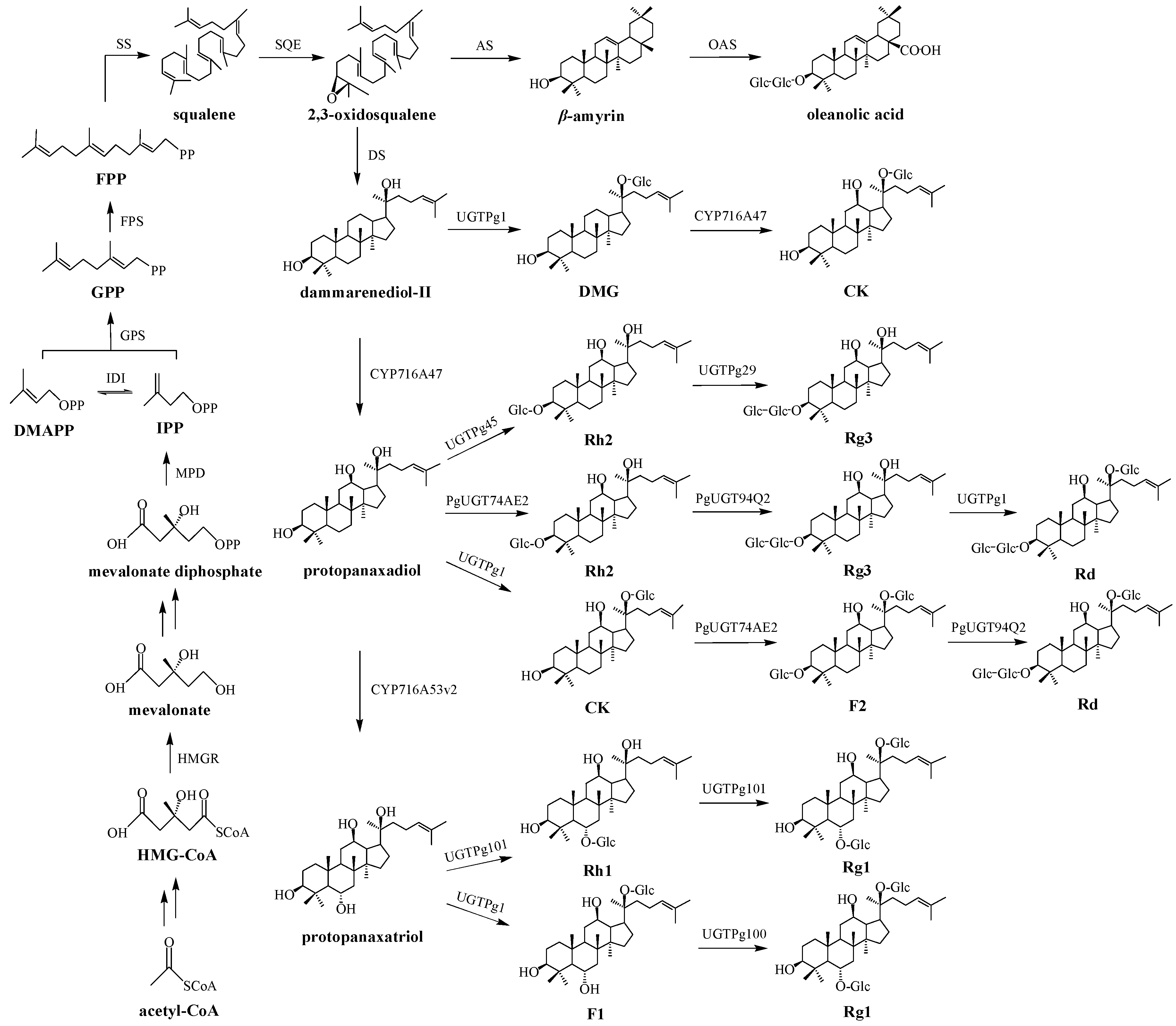 Molecules 23 00589 g001 Molecules 23 00589 g001
