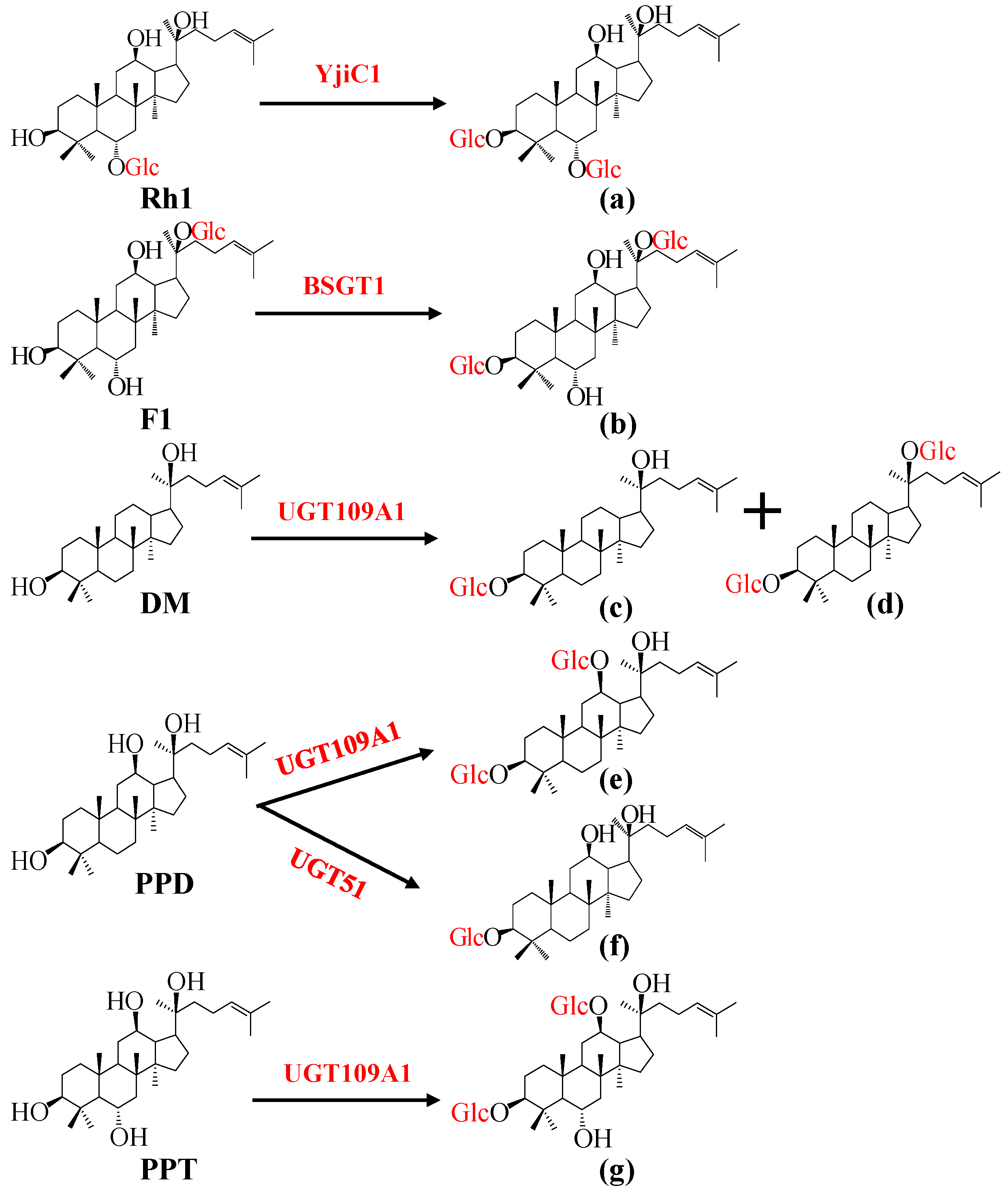 Molecules 23 00589 g002 Molecules 23 00589 g002