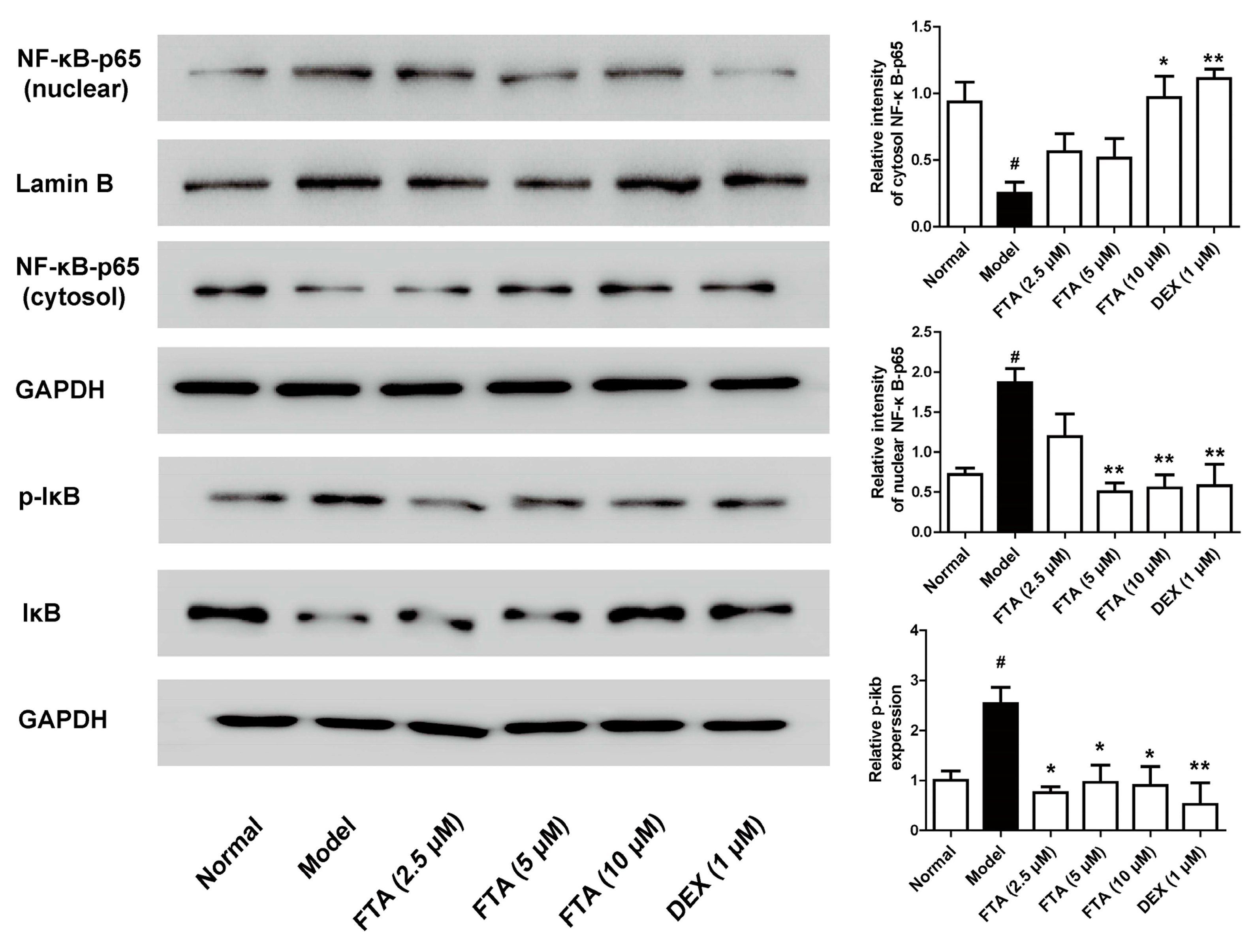 Molecules 23 00593 g005