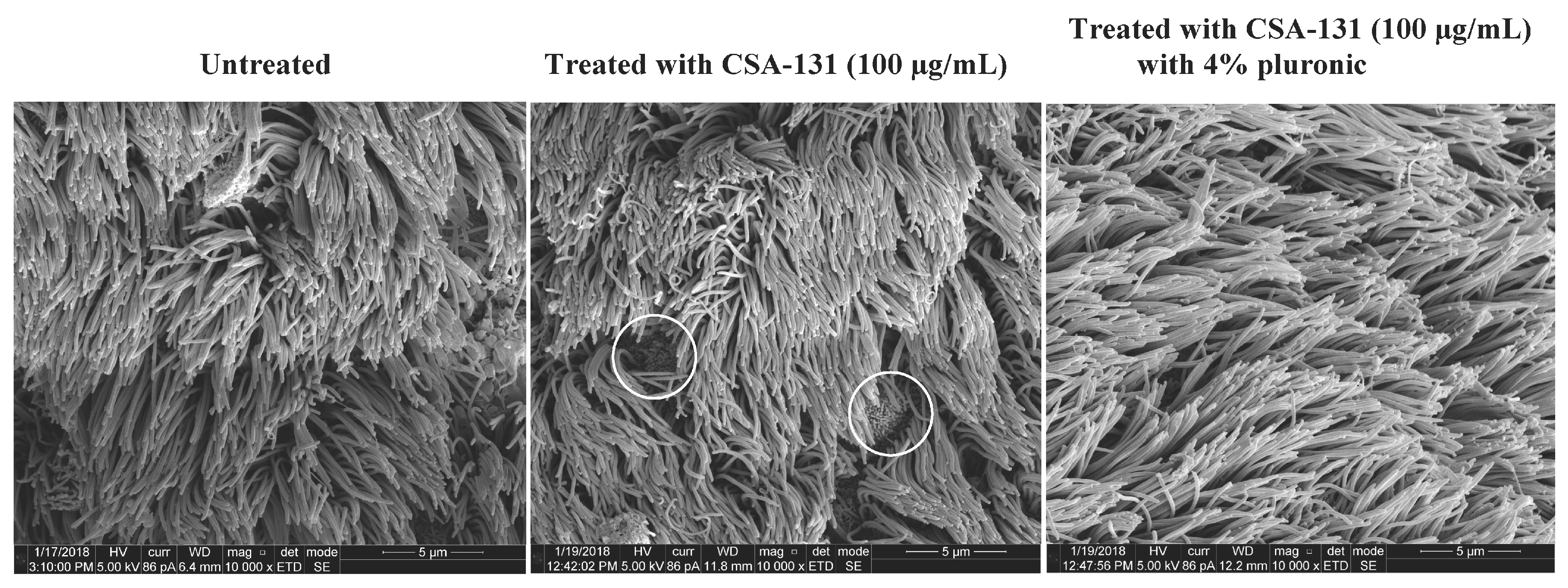 Molecules 23 00596 g006