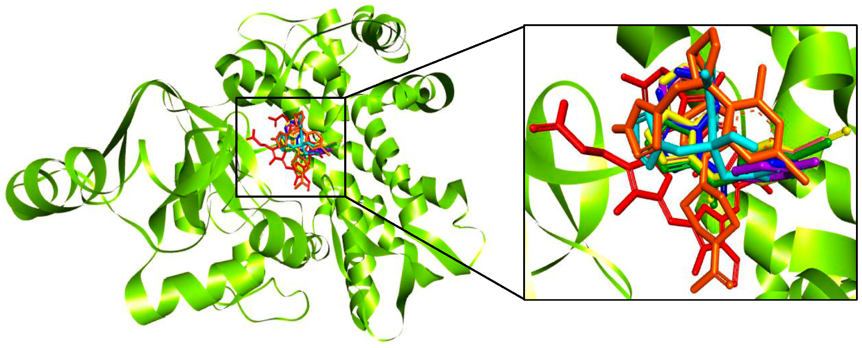 Molecules 23 00599 g002 Molecules 23 00599 g002