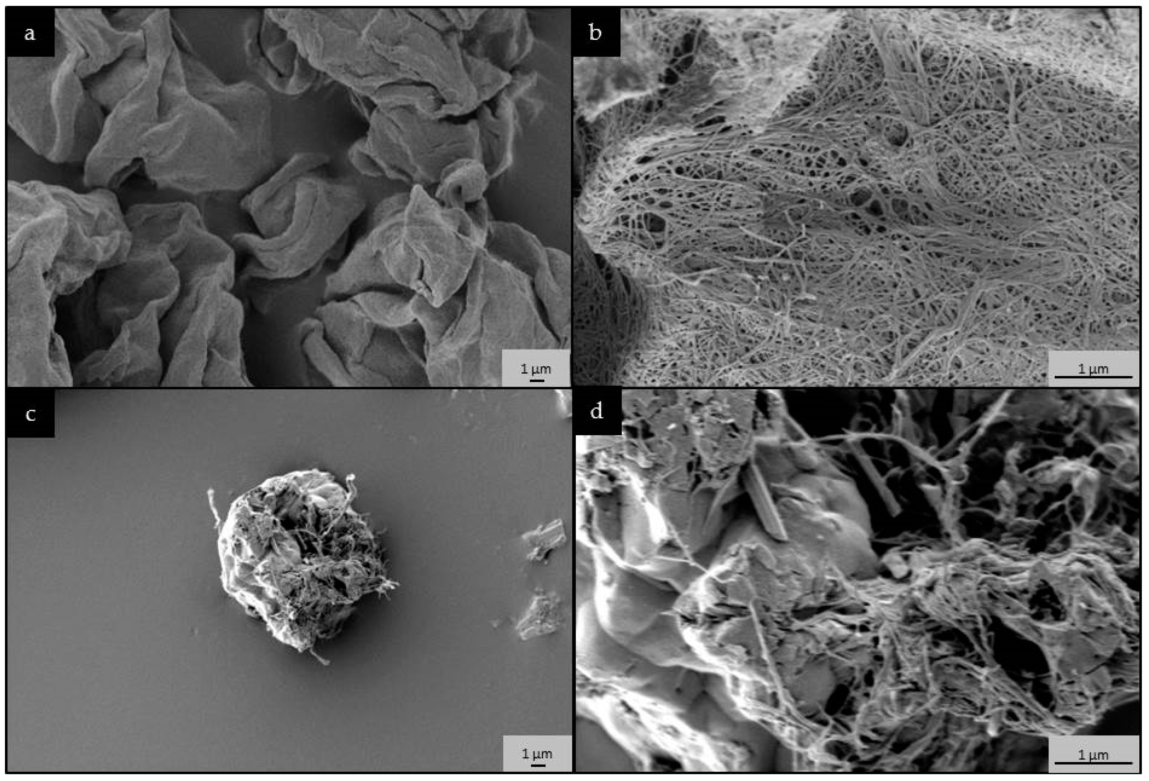 Molecules 23 00601 g002