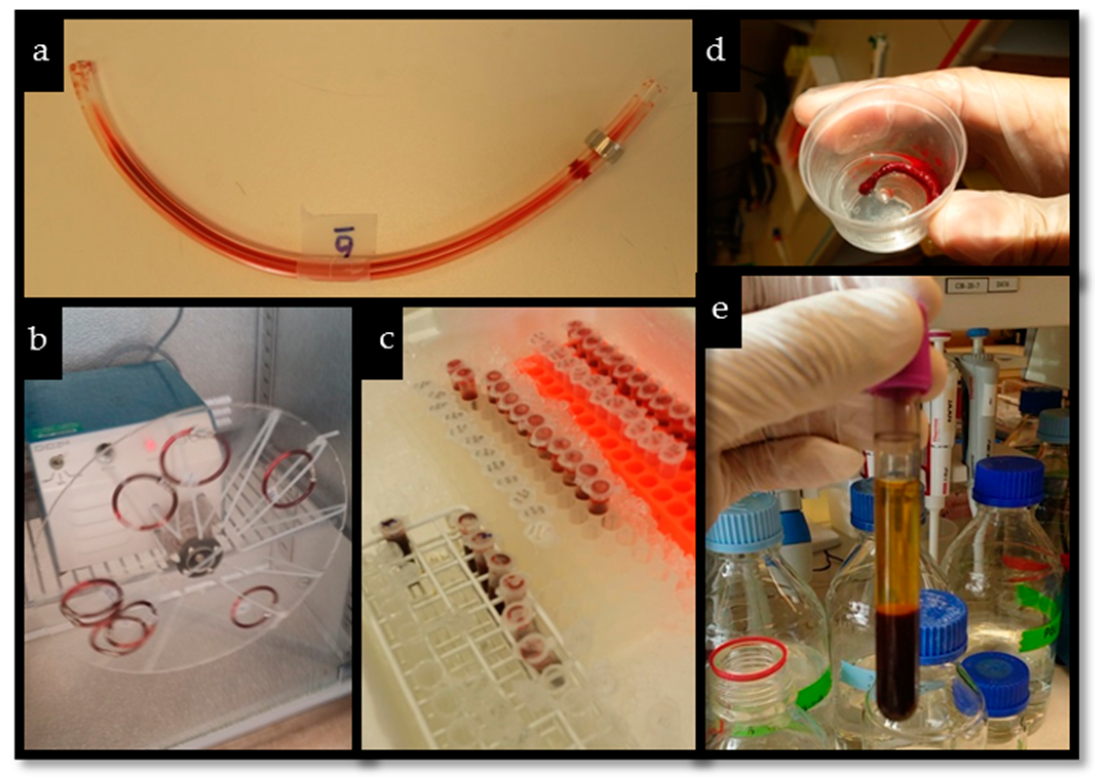 Molecules 23 00601 g006