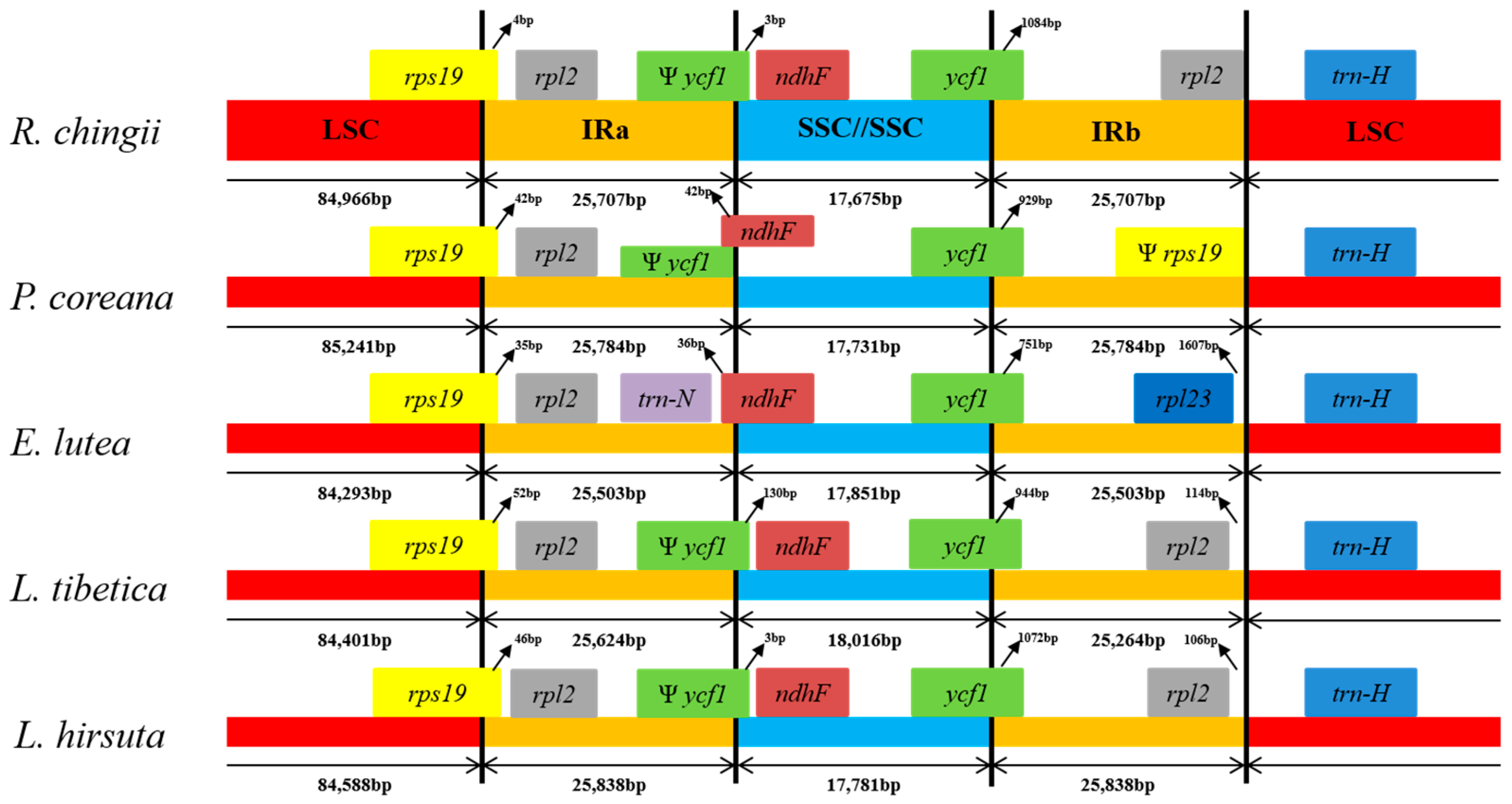 Molecules 23 00602 g003
