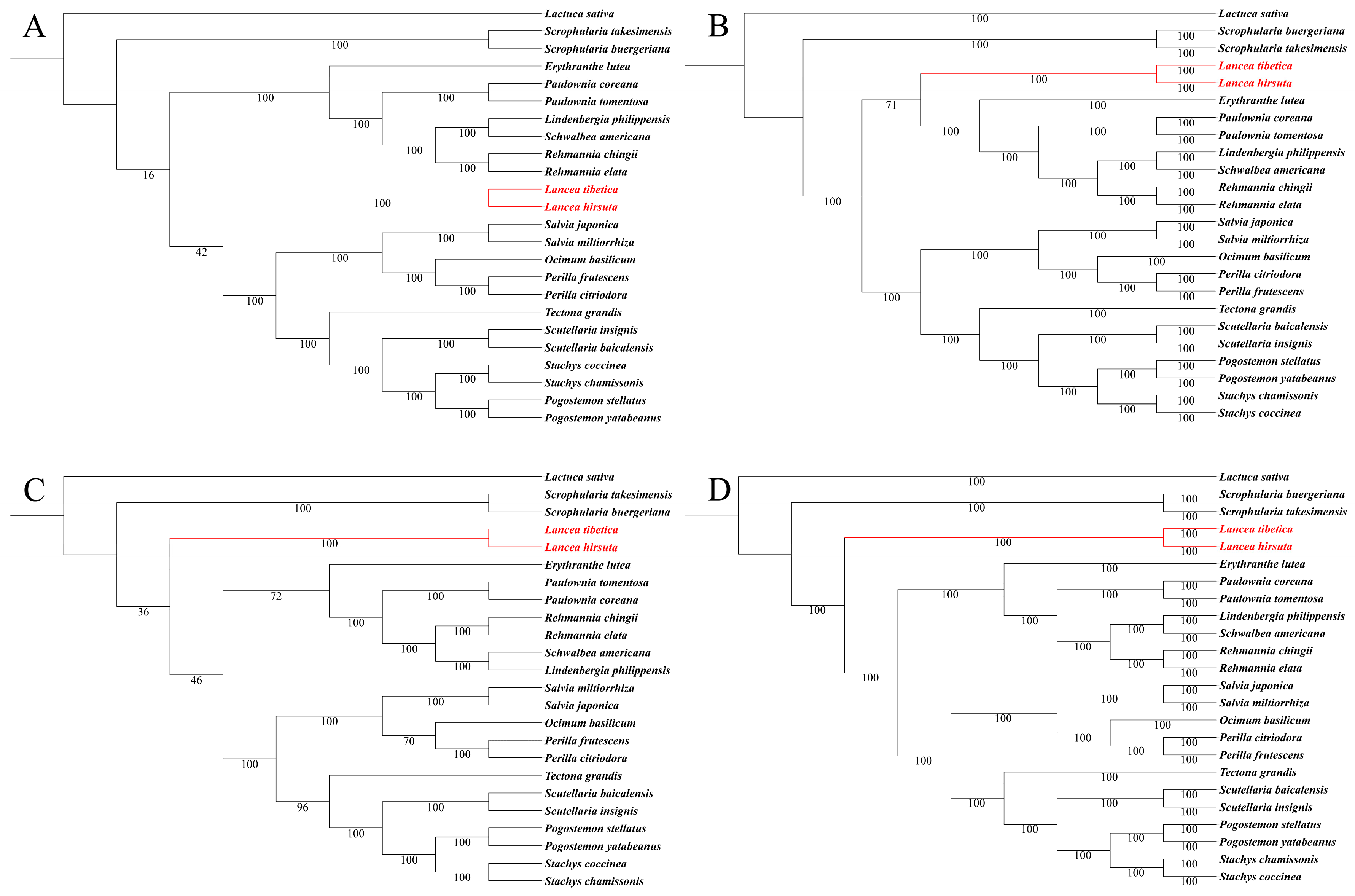Molecules 23 00602 g006