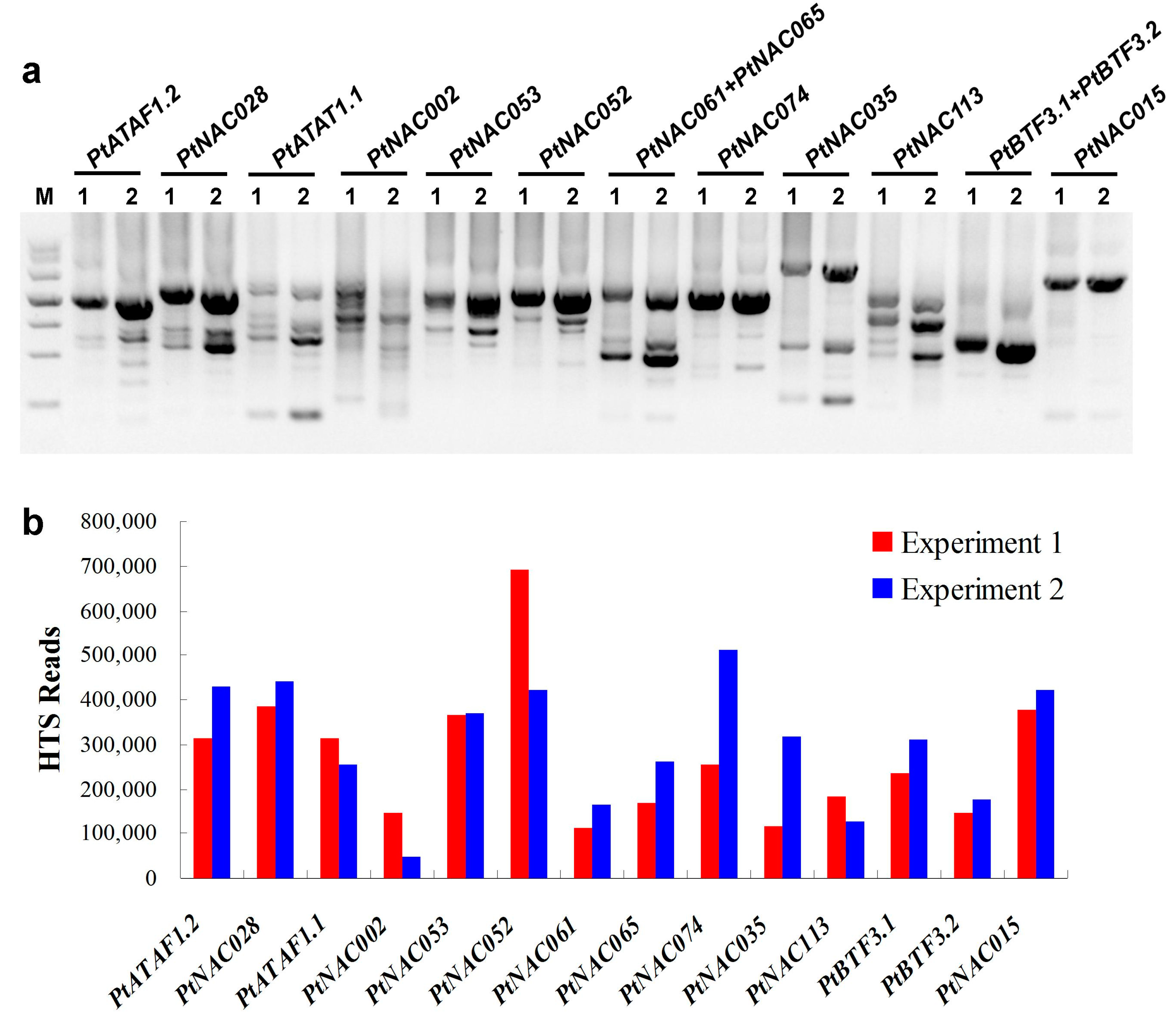 Molecules 23 00608 g001 Molecules 23 00608 g001
