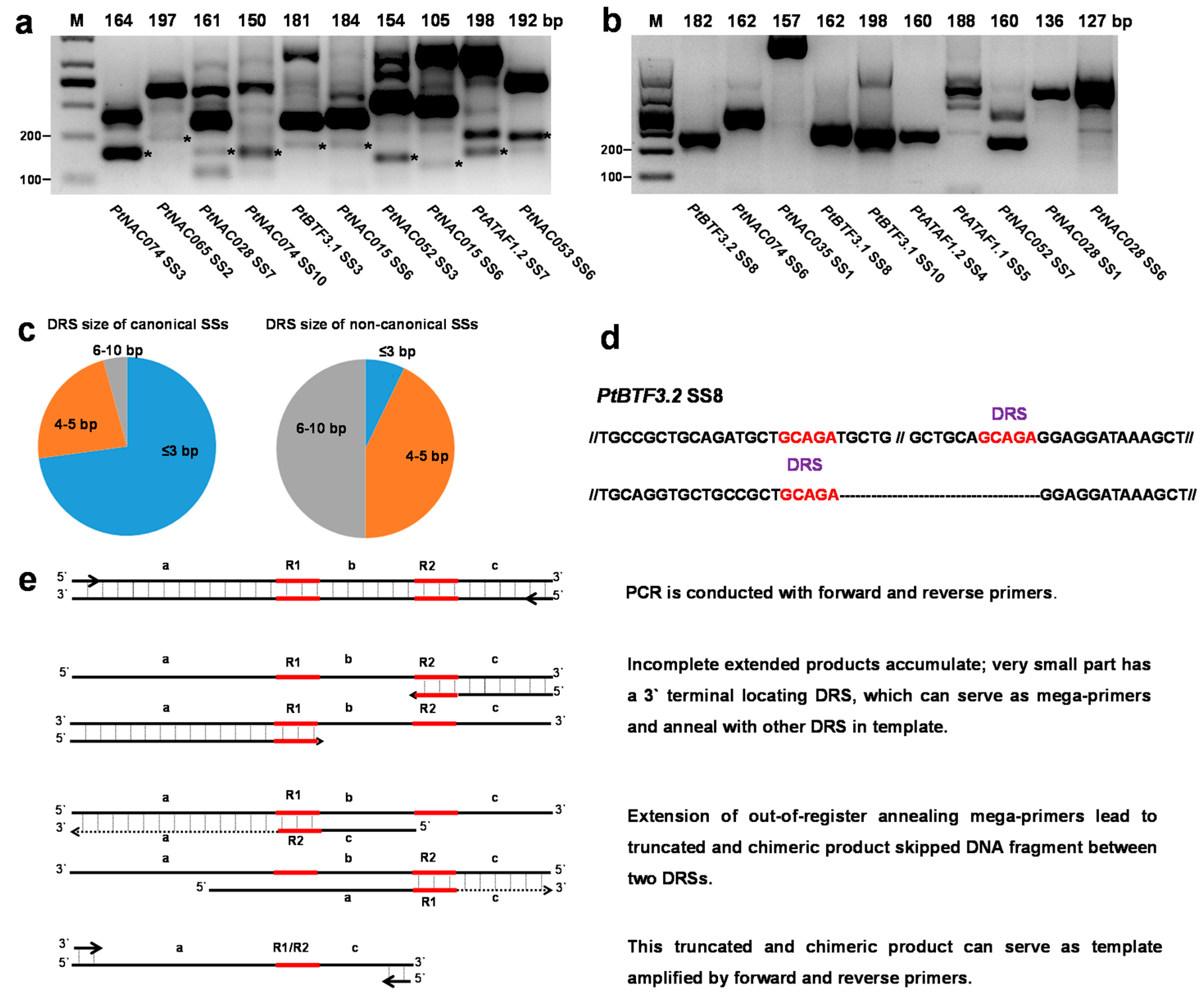 Molecules 23 00608 g003 Molecules 23 00608 g003