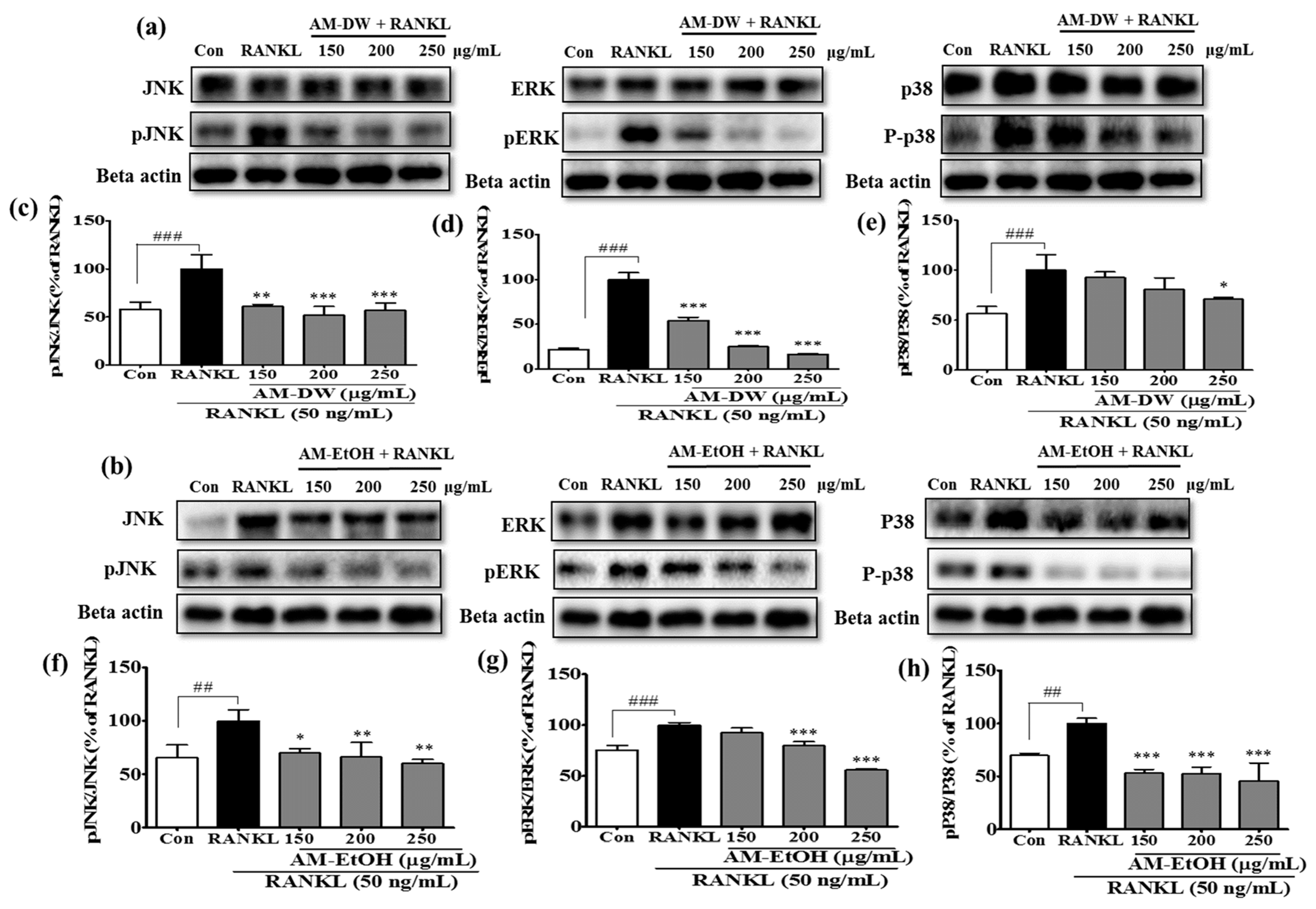 Molecules 23 00615 g005