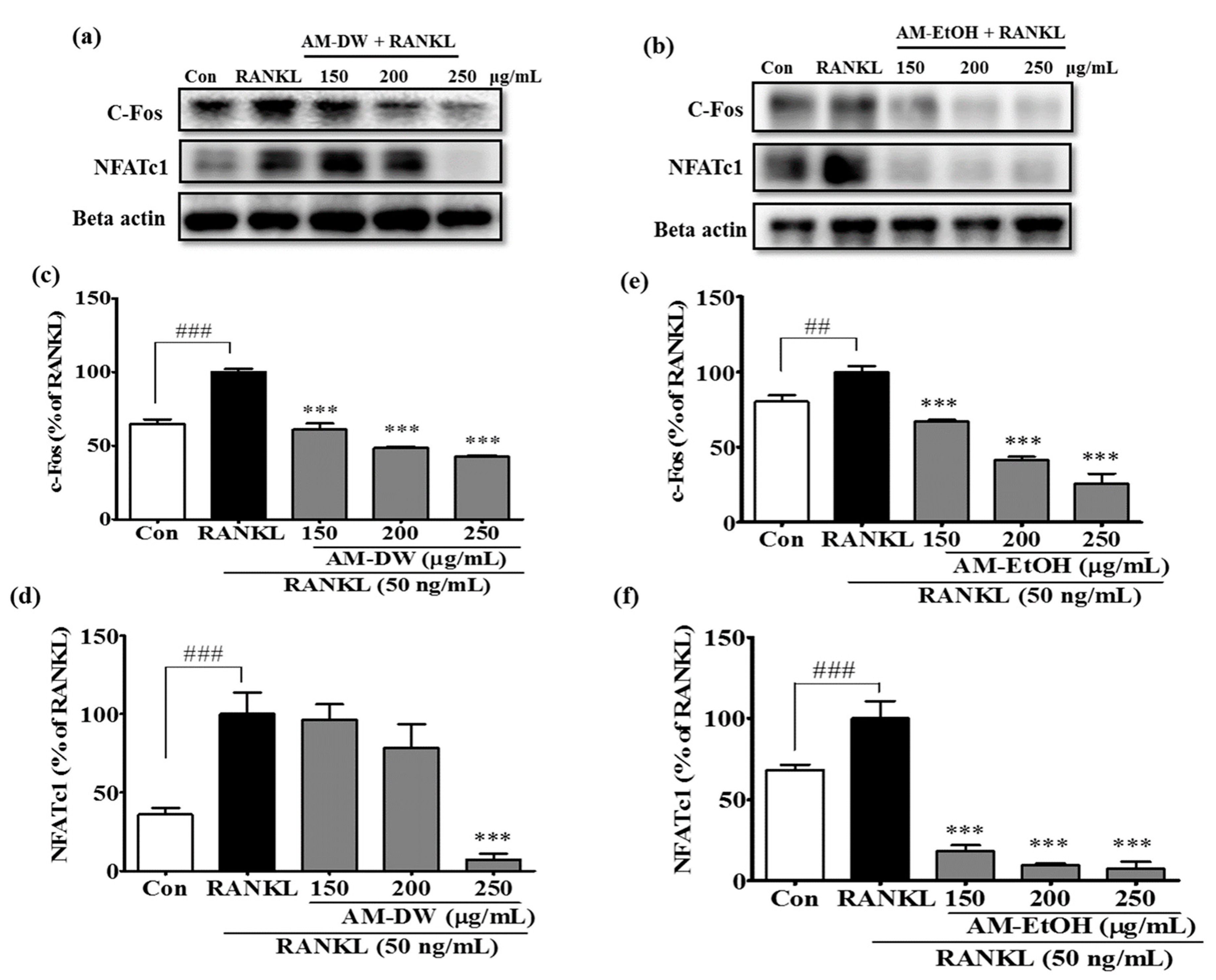 Molecules 23 00615 g007
