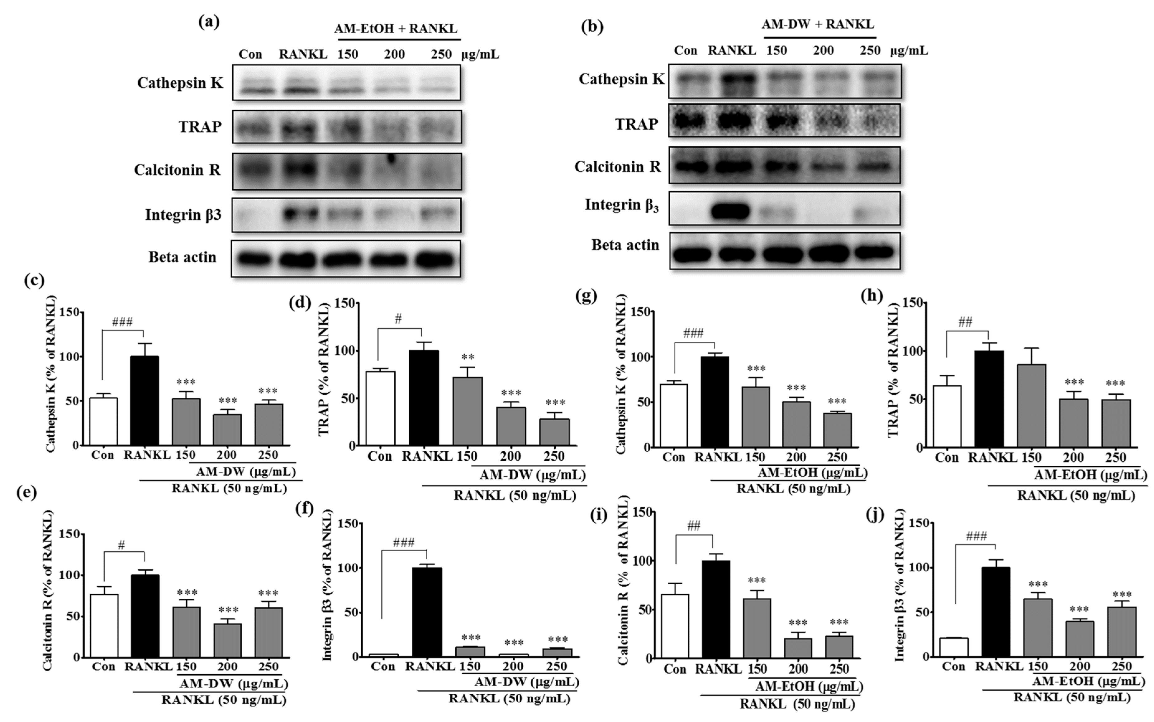 Molecules 23 00615 g008