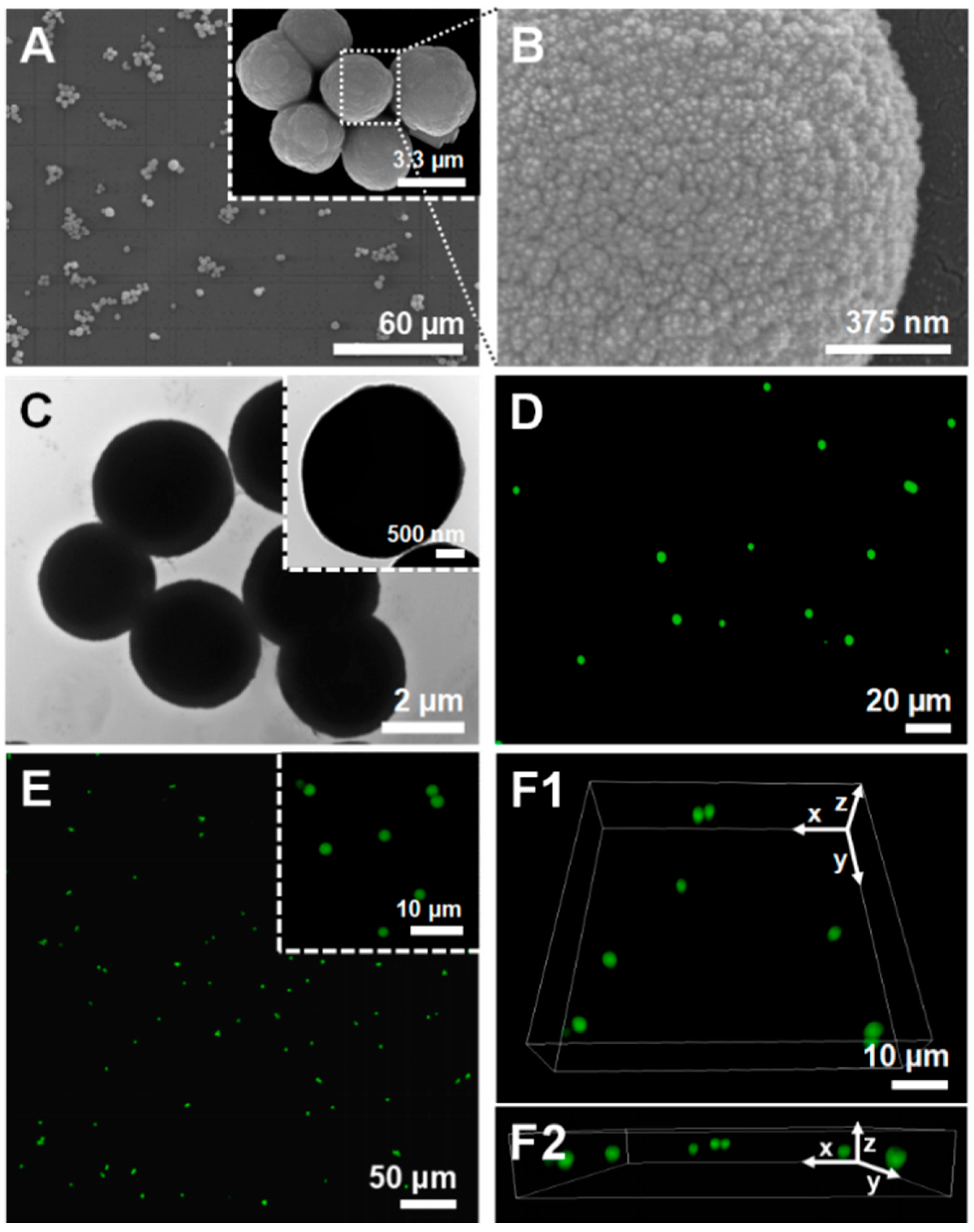 Molecules 23 00625 g001 Molecules 23 00625 g001