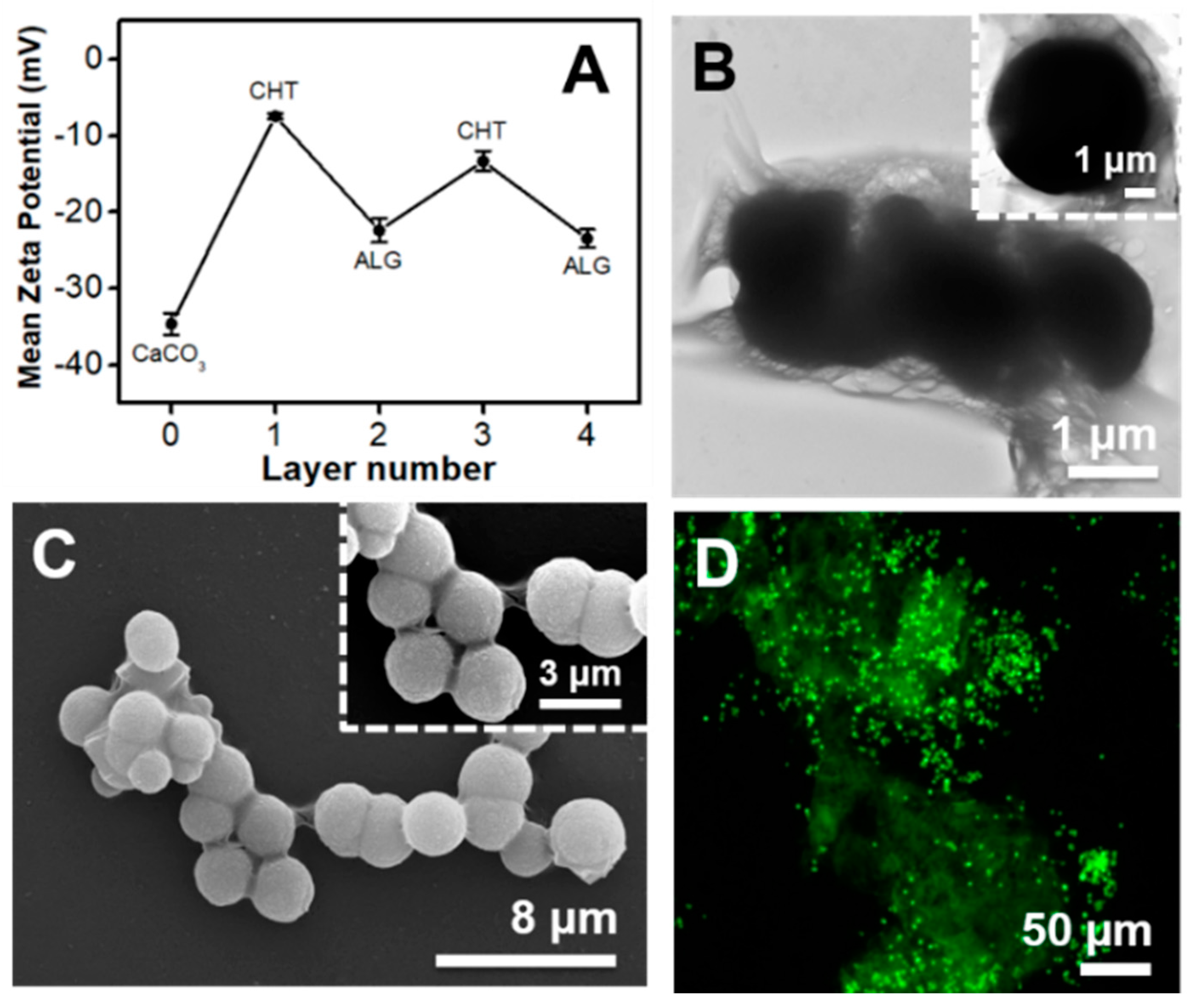 Molecules 23 00625 g002 Molecules 23 00625 g002