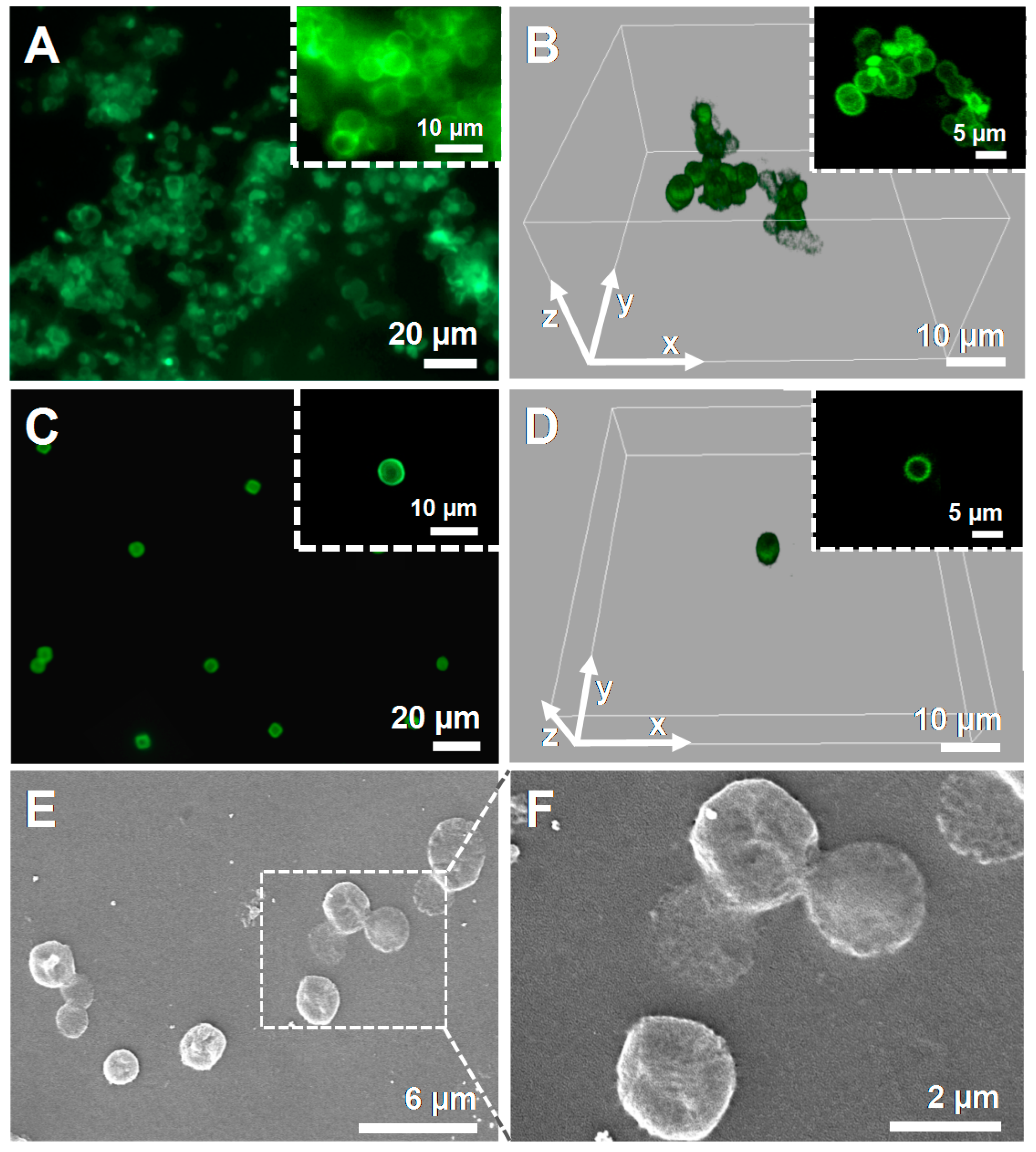 Molecules 23 00625 g003 Molecules 23 00625 g003