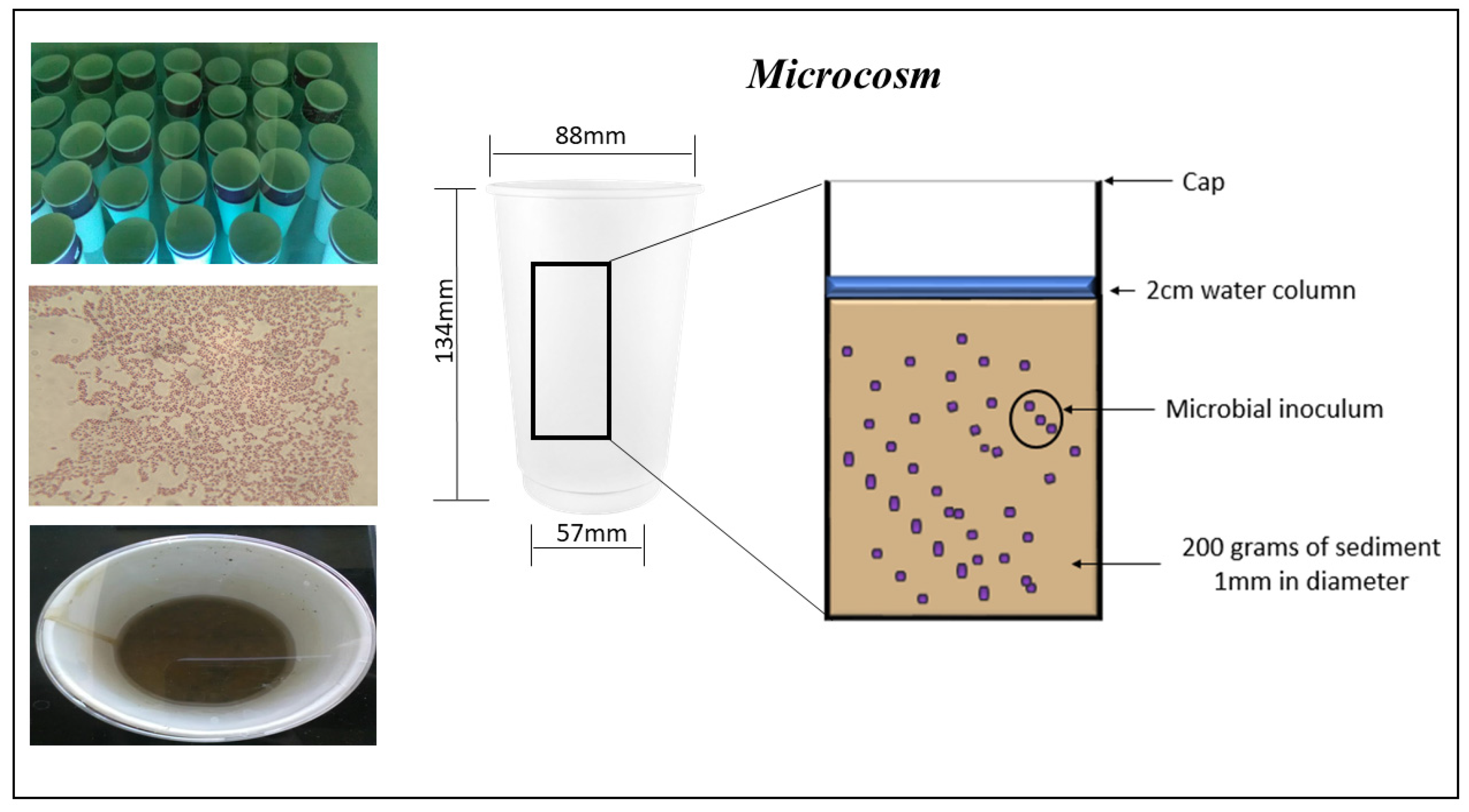 Molecules 23 00627 g005