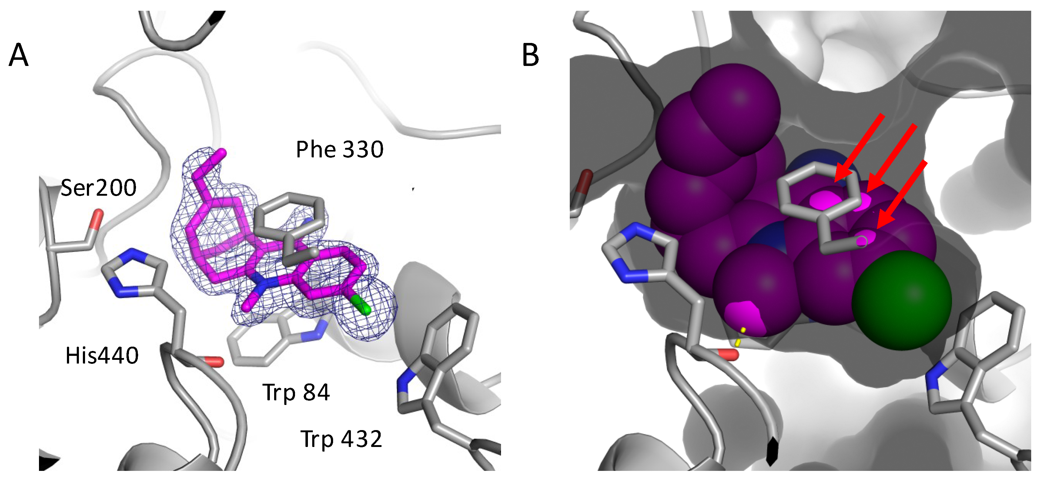 Molecules 23 00634 g004