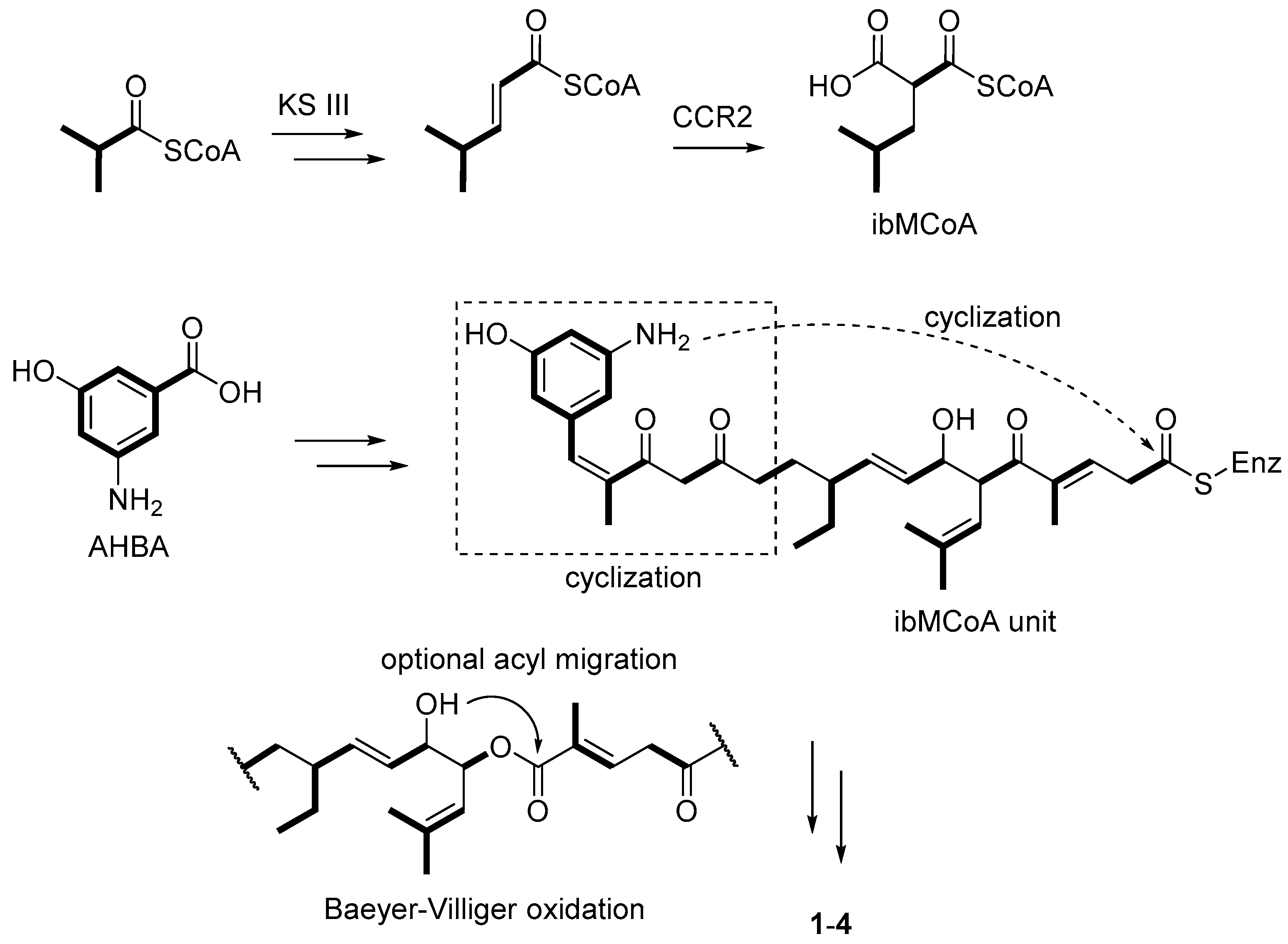Molecules 23 00646 sch001