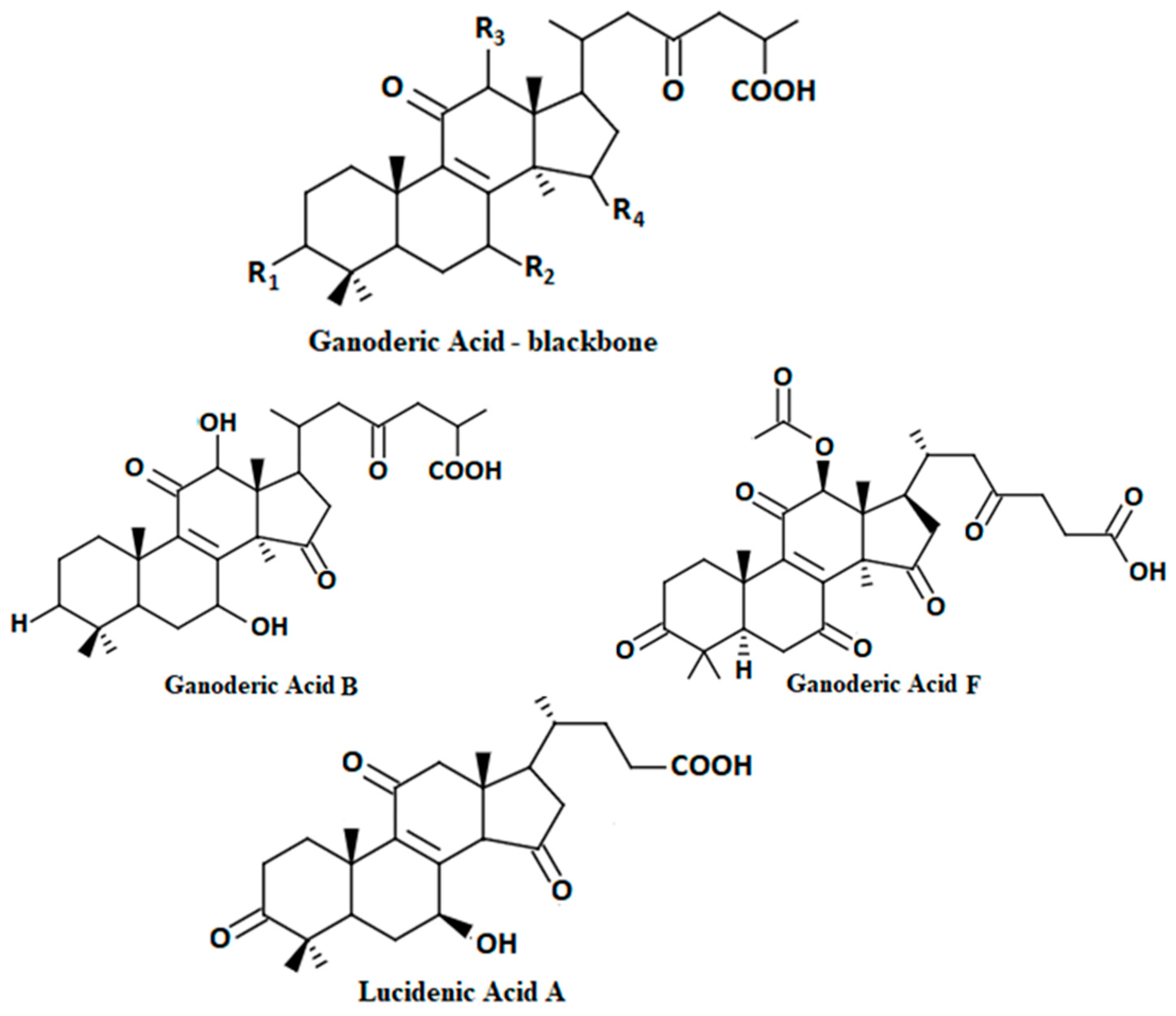 Molecules 23 00649 g003