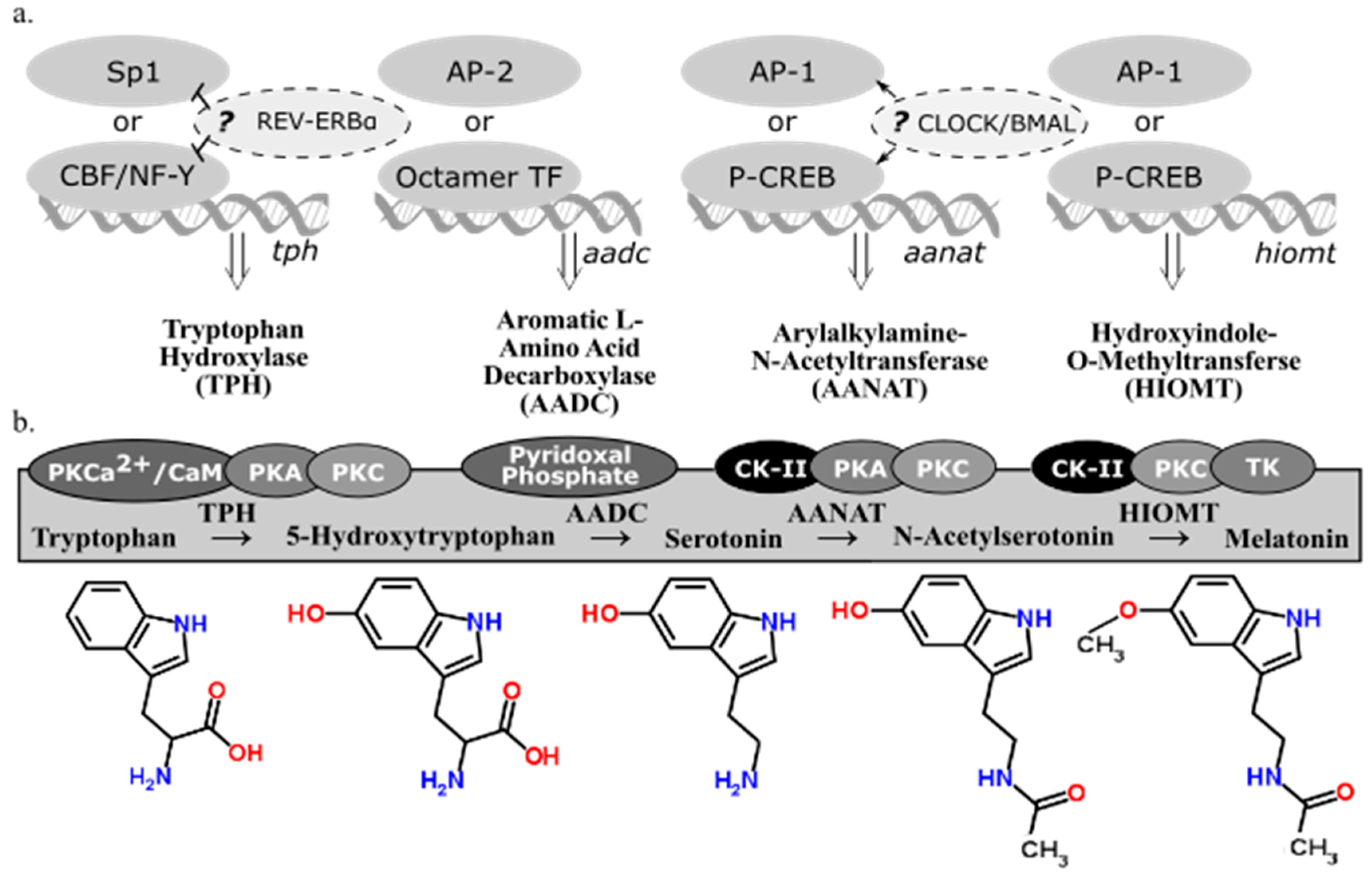 Molecules 23 00652 g002