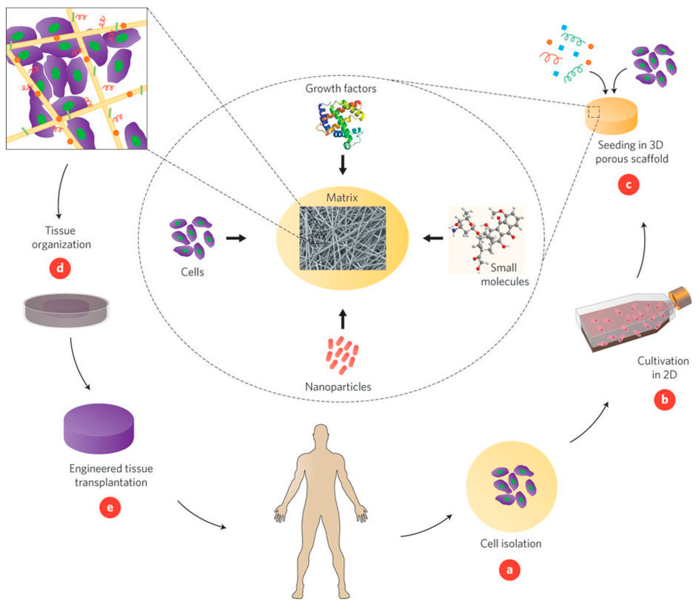 Molecules 23 00654 g001
