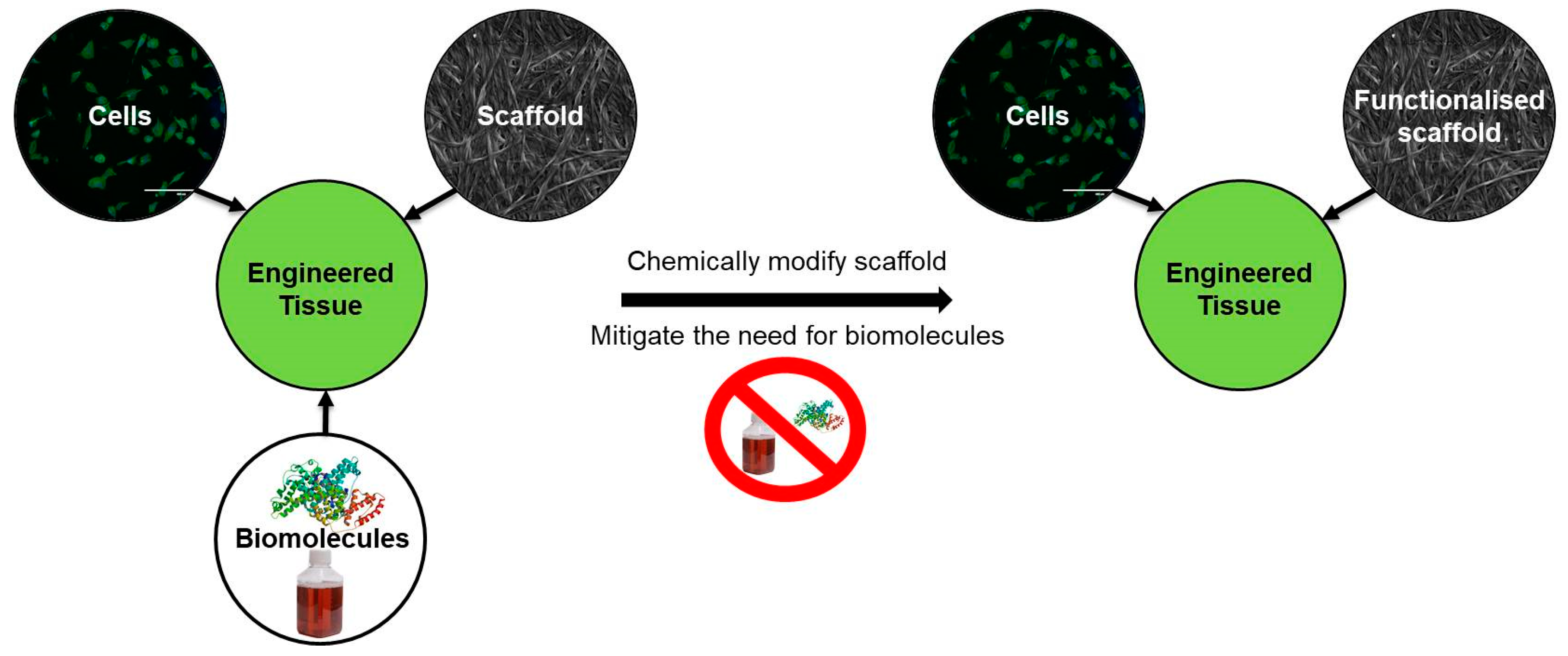 Molecules 23 00654 g002