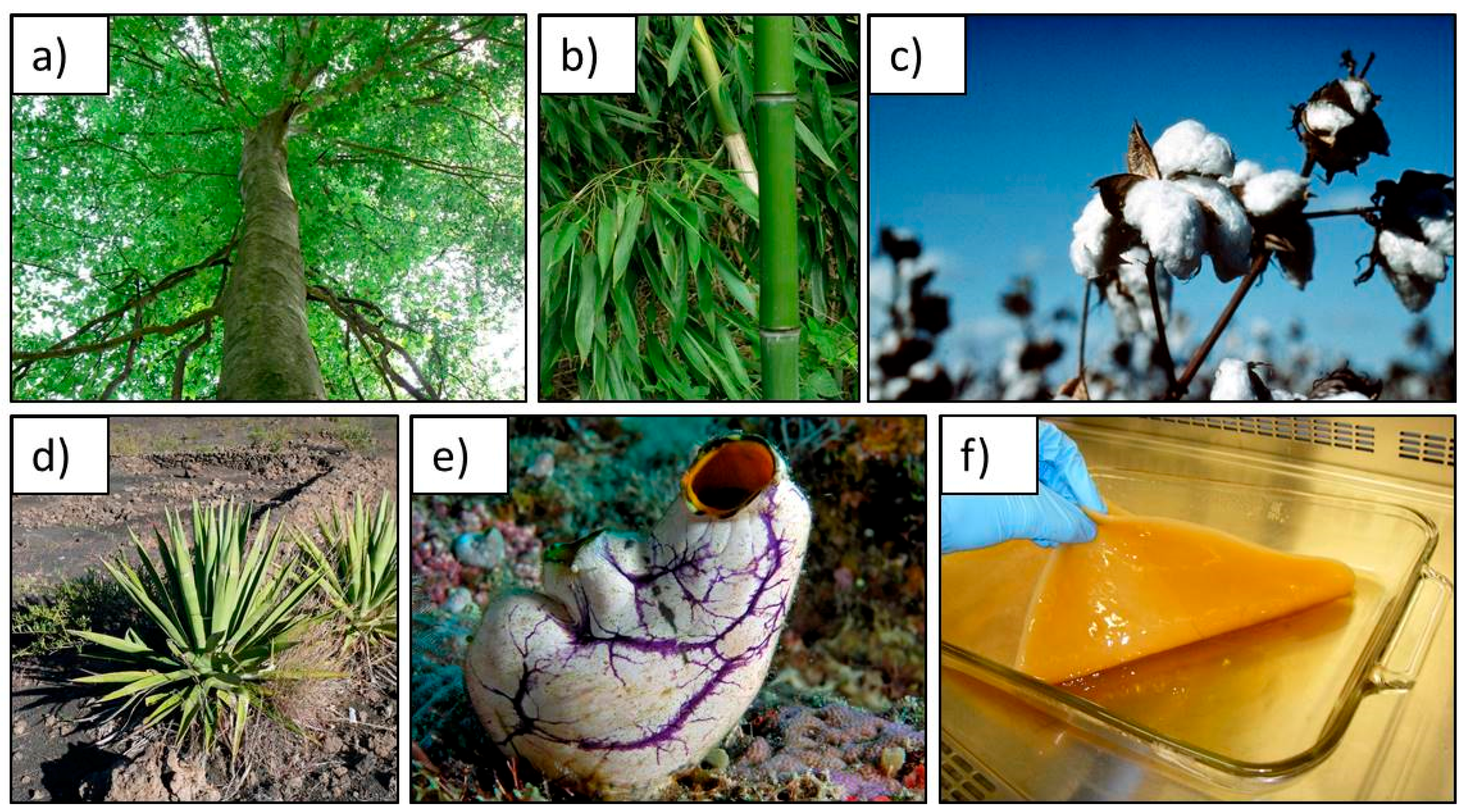 Molecules 23 00654 g003
