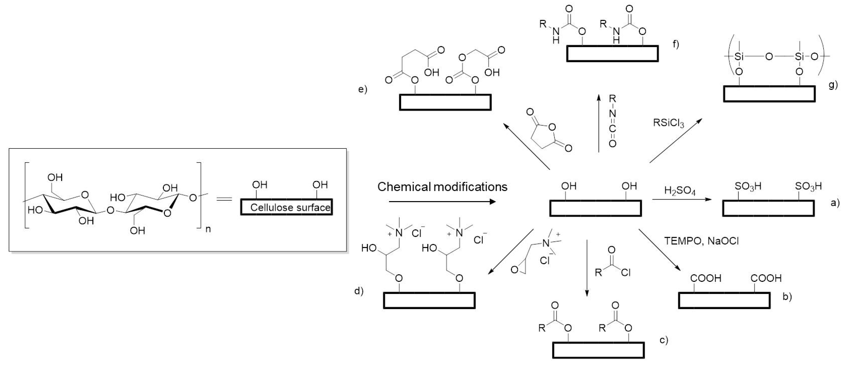 Molecules 23 00654 sch001
