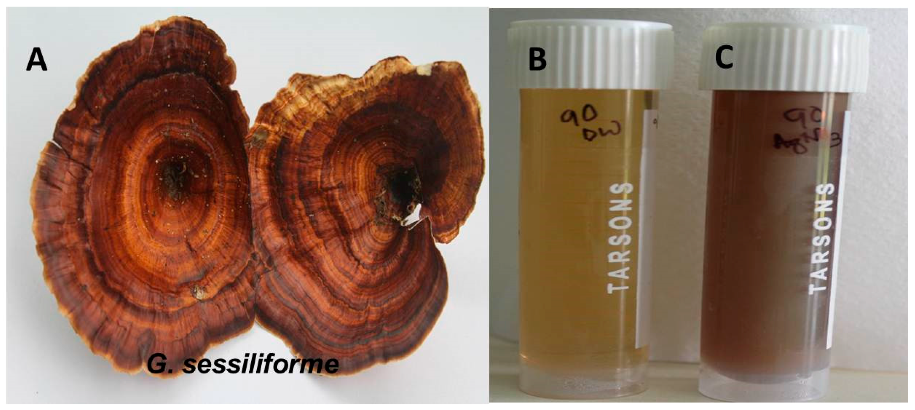 Molecules 23 00655 g001
