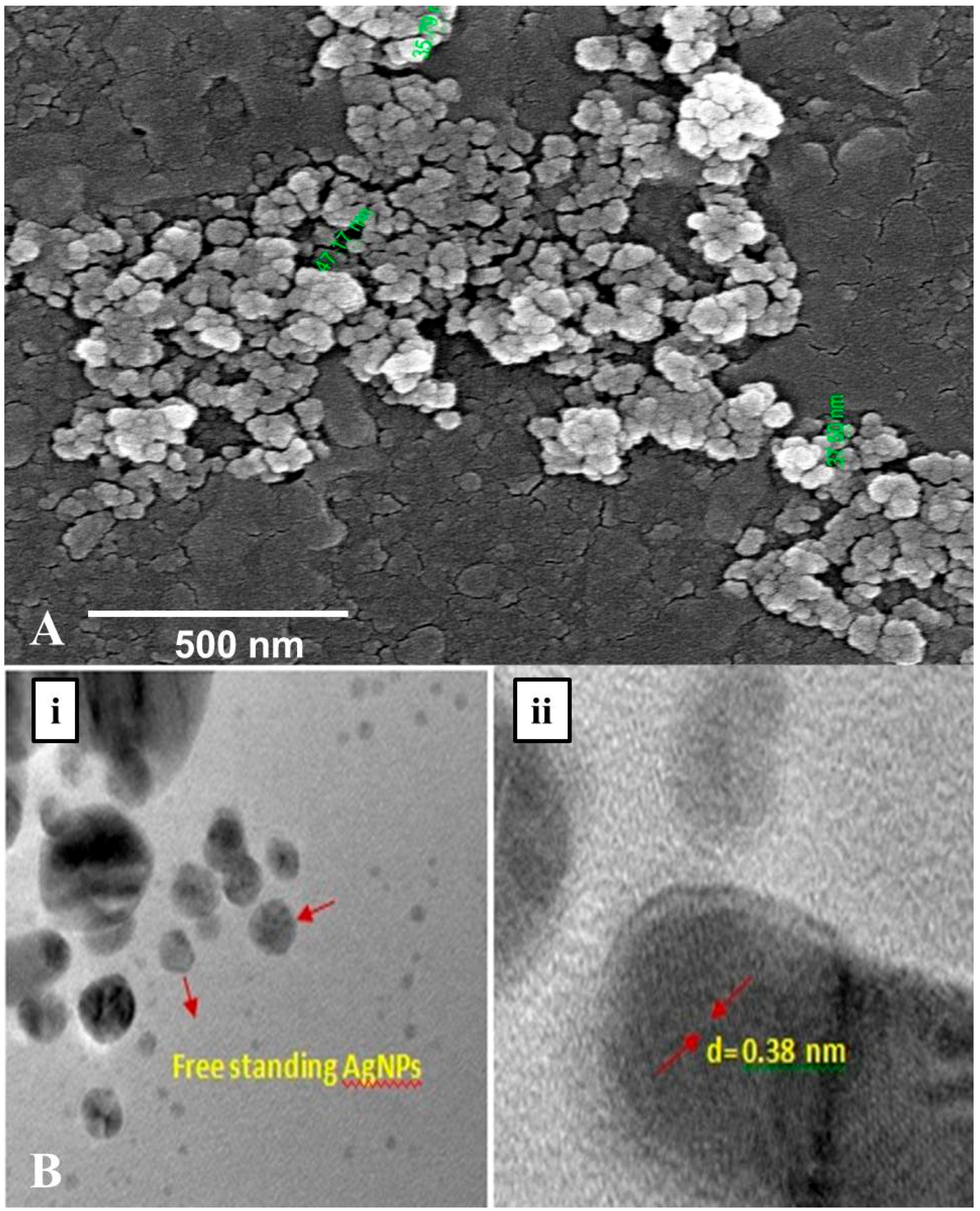 Molecules 23 00655 g006