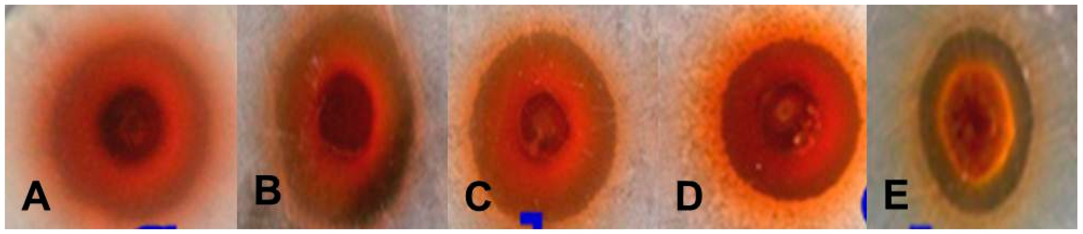 Molecules 23 00655 g008