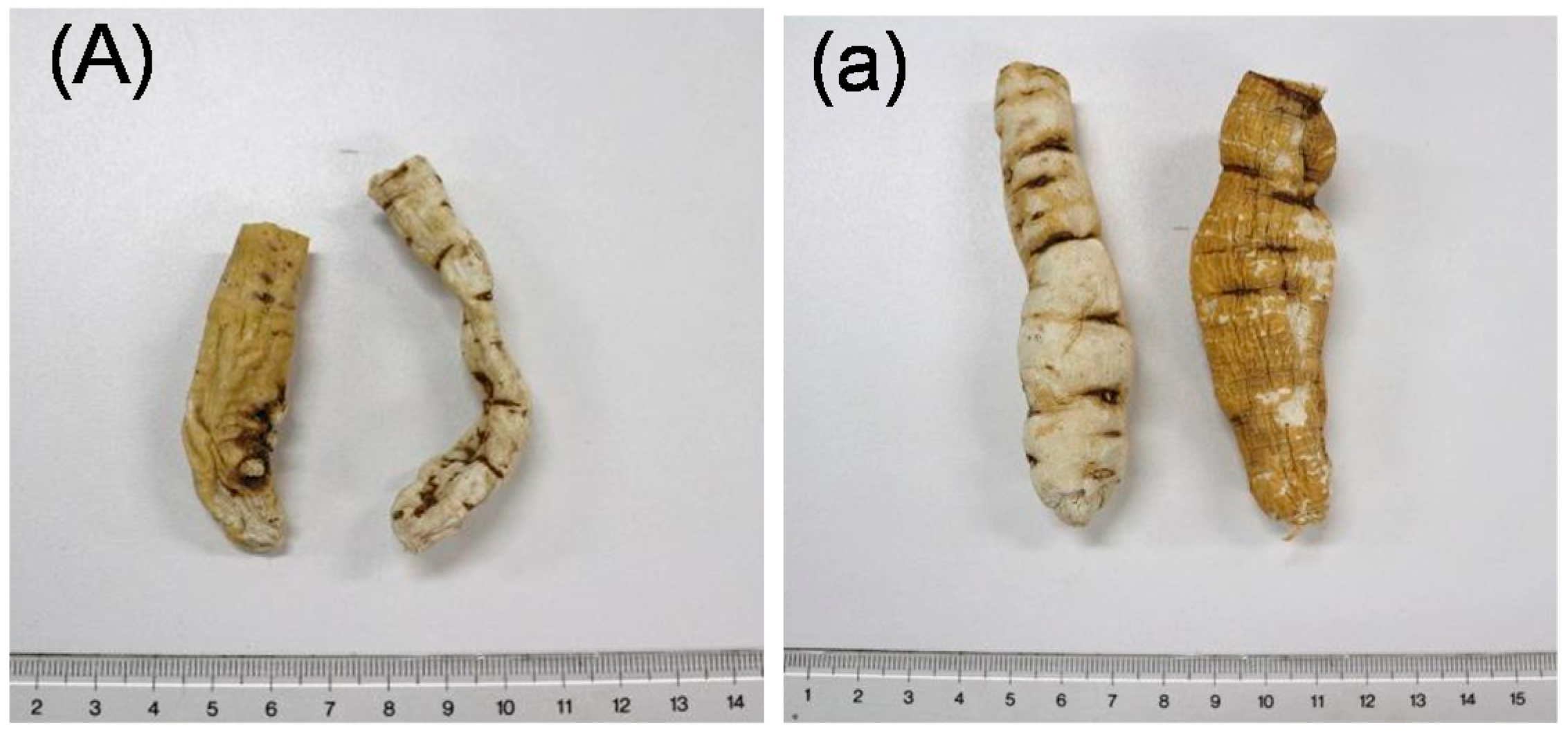 Molecules 23 00656 g004