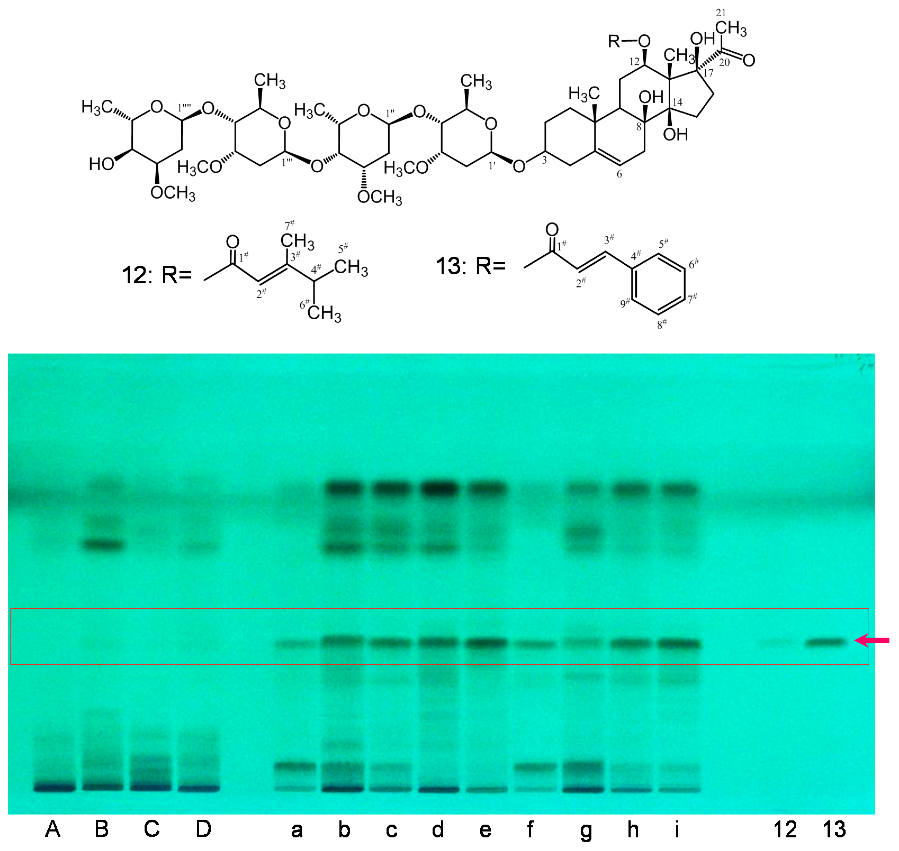 Molecules 23 00656 g006
