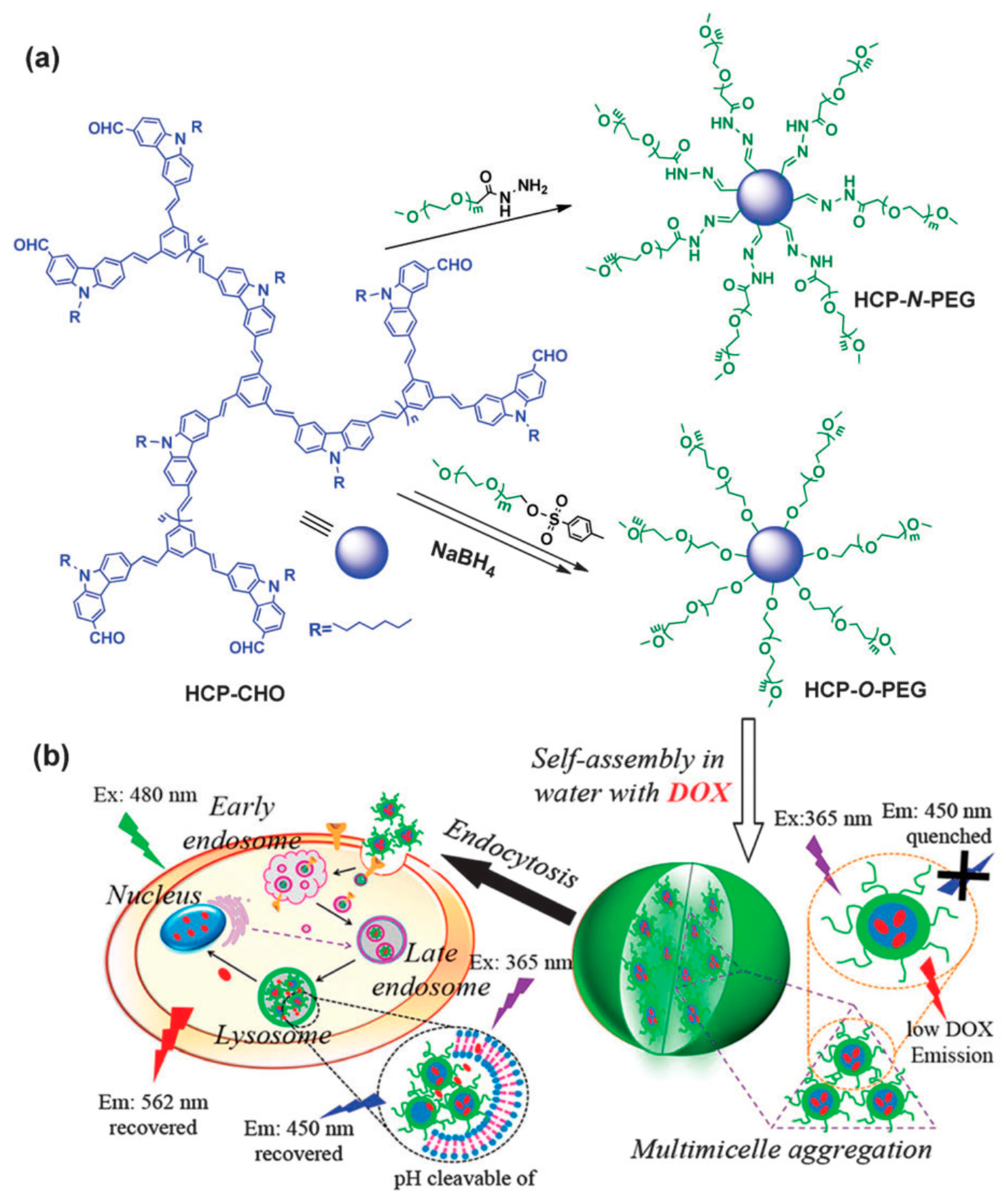 Molecules 23 00657 g007