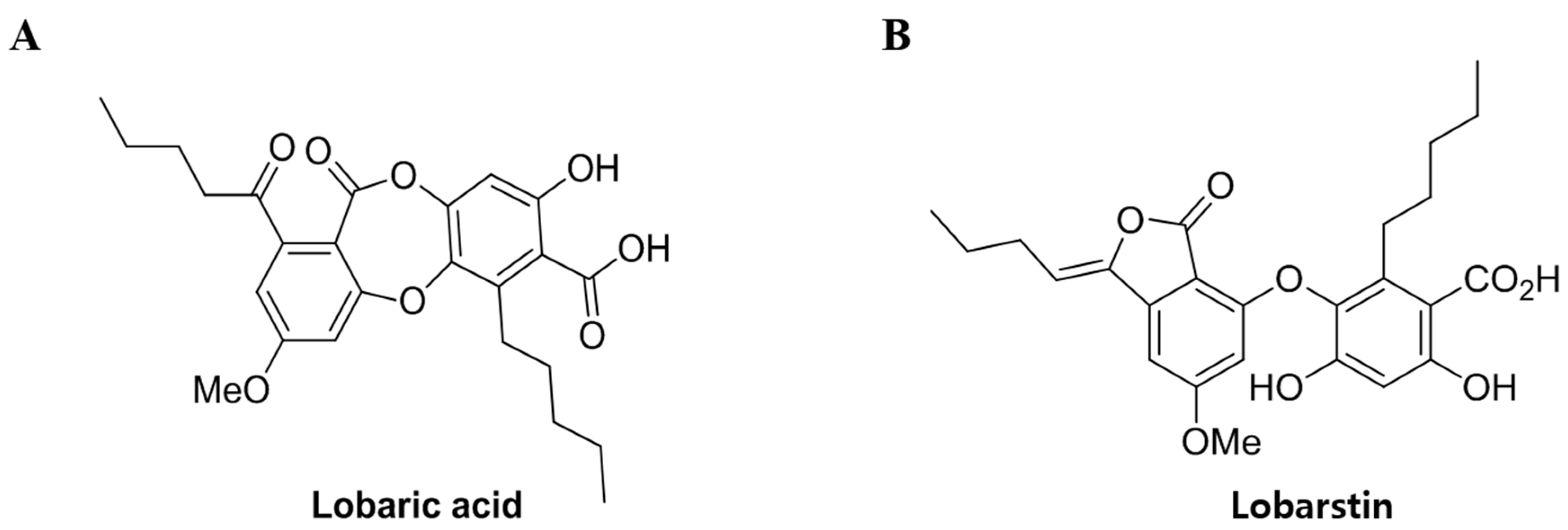 Molecules 23 00658 g001