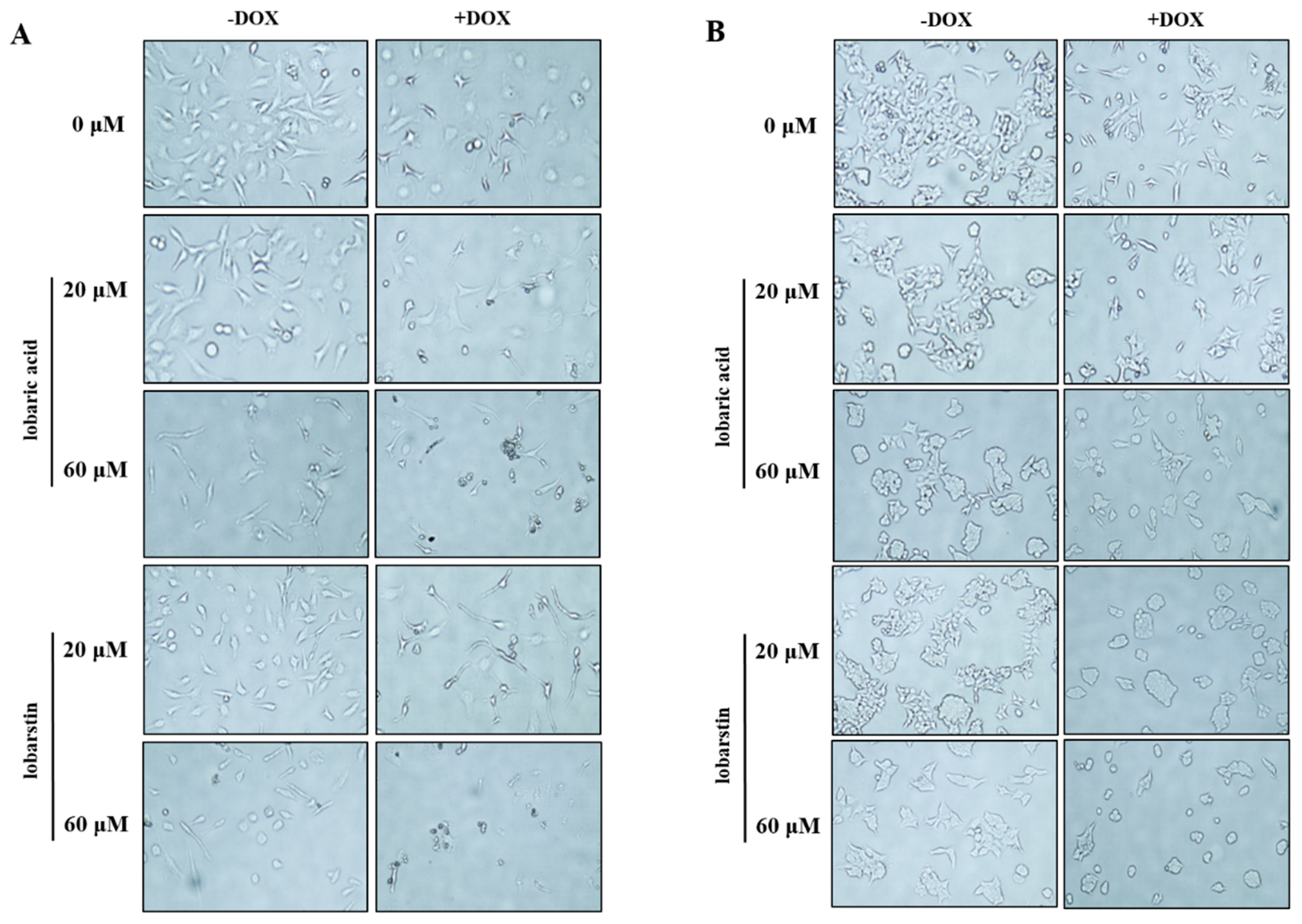 Molecules 23 00658 g003