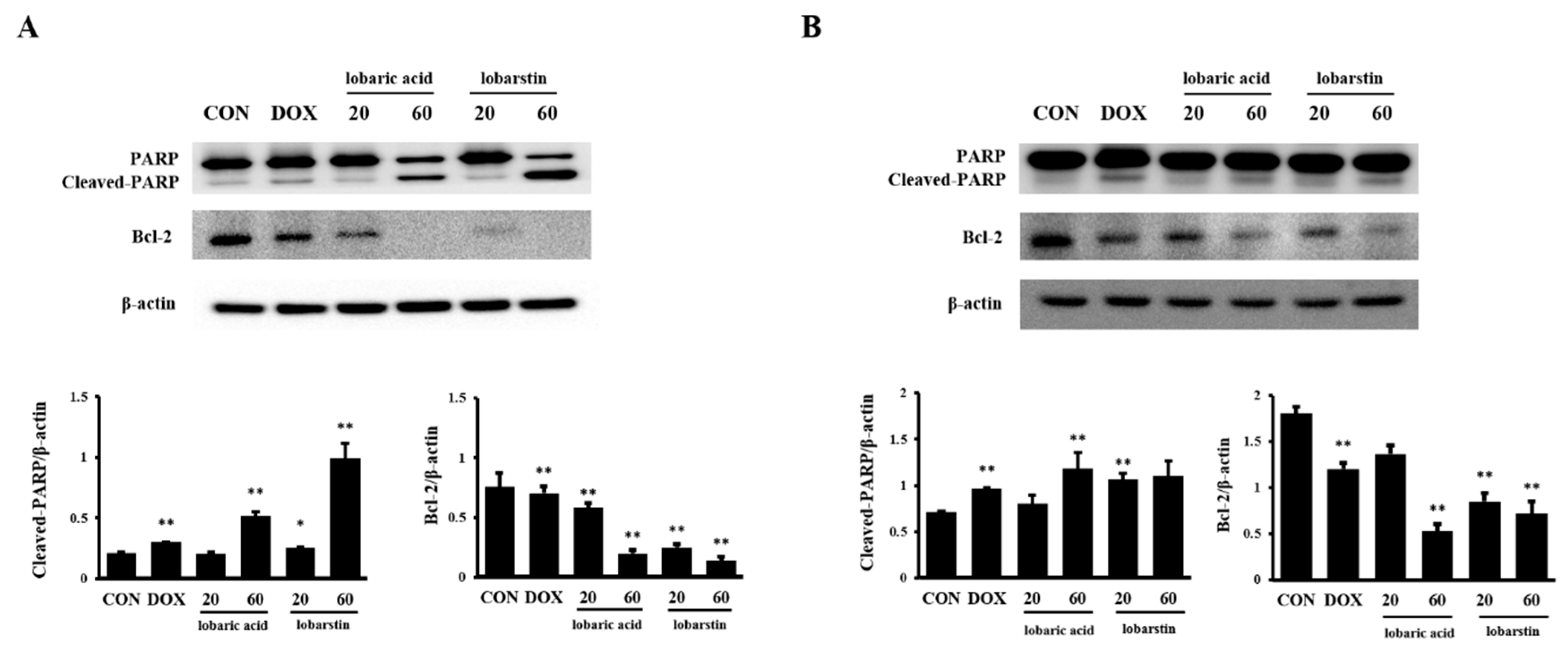 Molecules 23 00658 g005