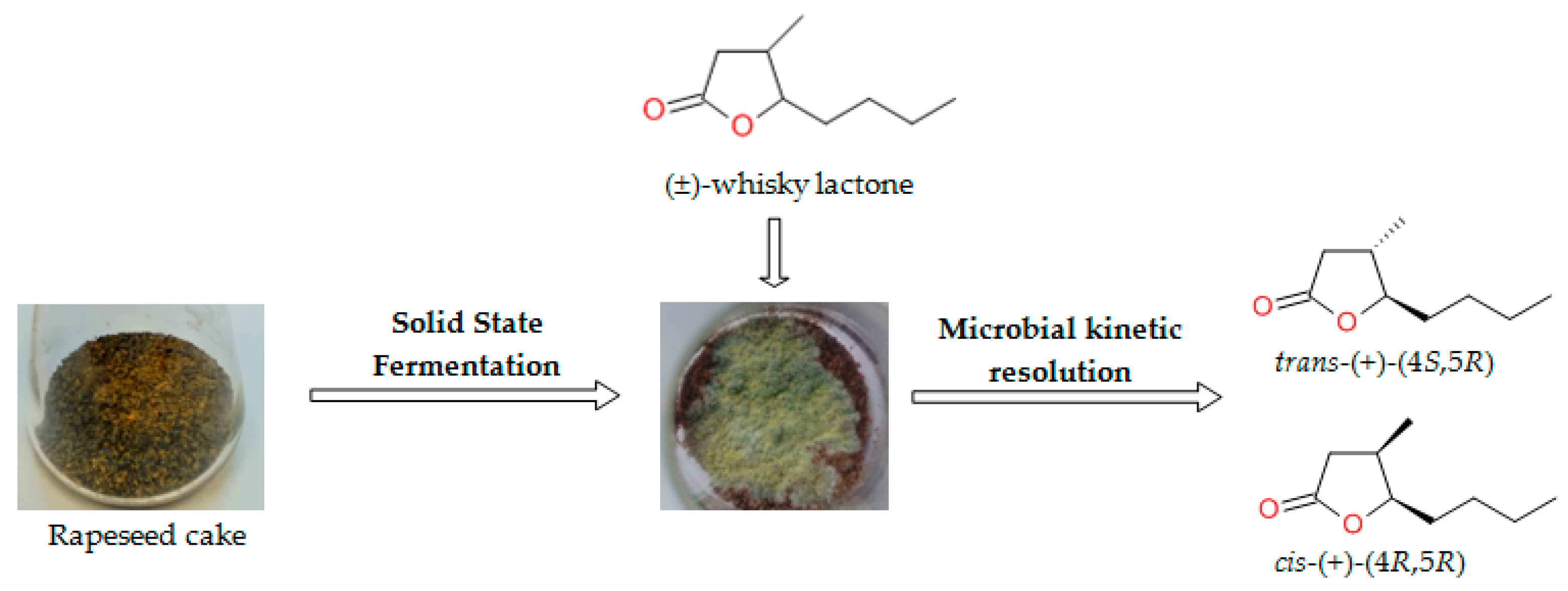 Molecules 23 00659 g001